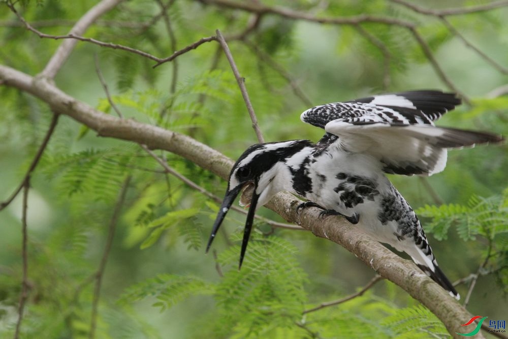 ����8 ��Ƭ2 845.jpg