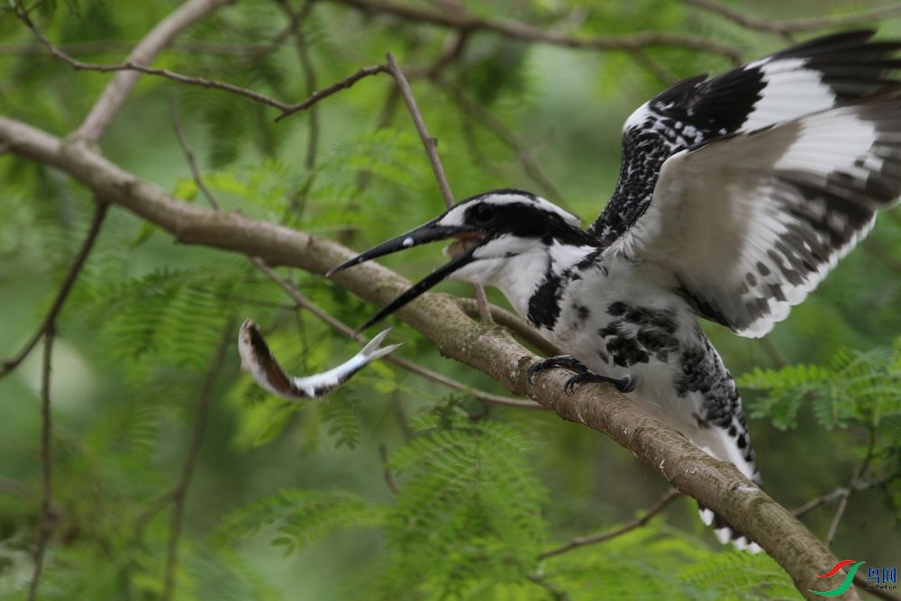 ����7 ��Ƭ2 844.jpg