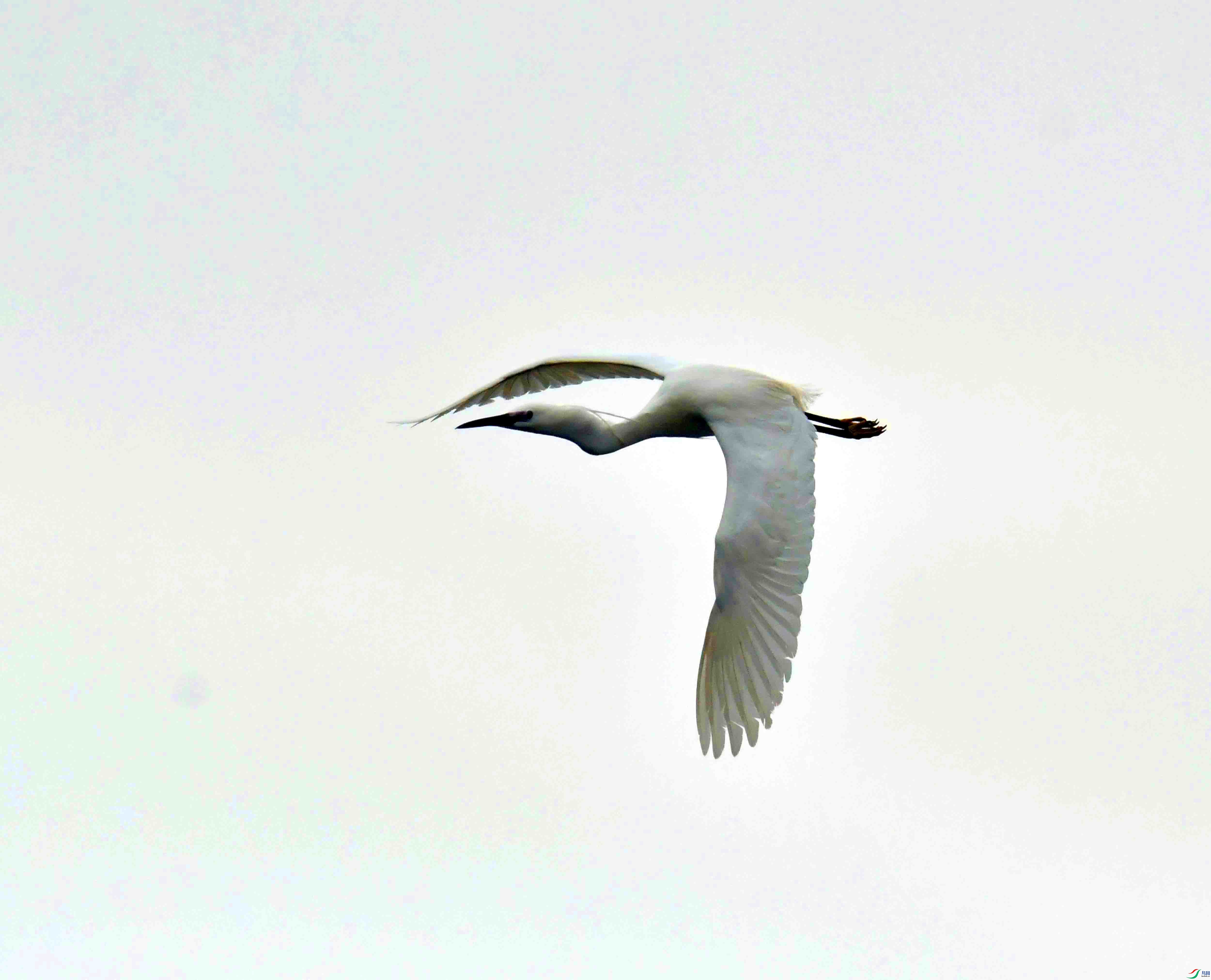 DSC_9849.JPG