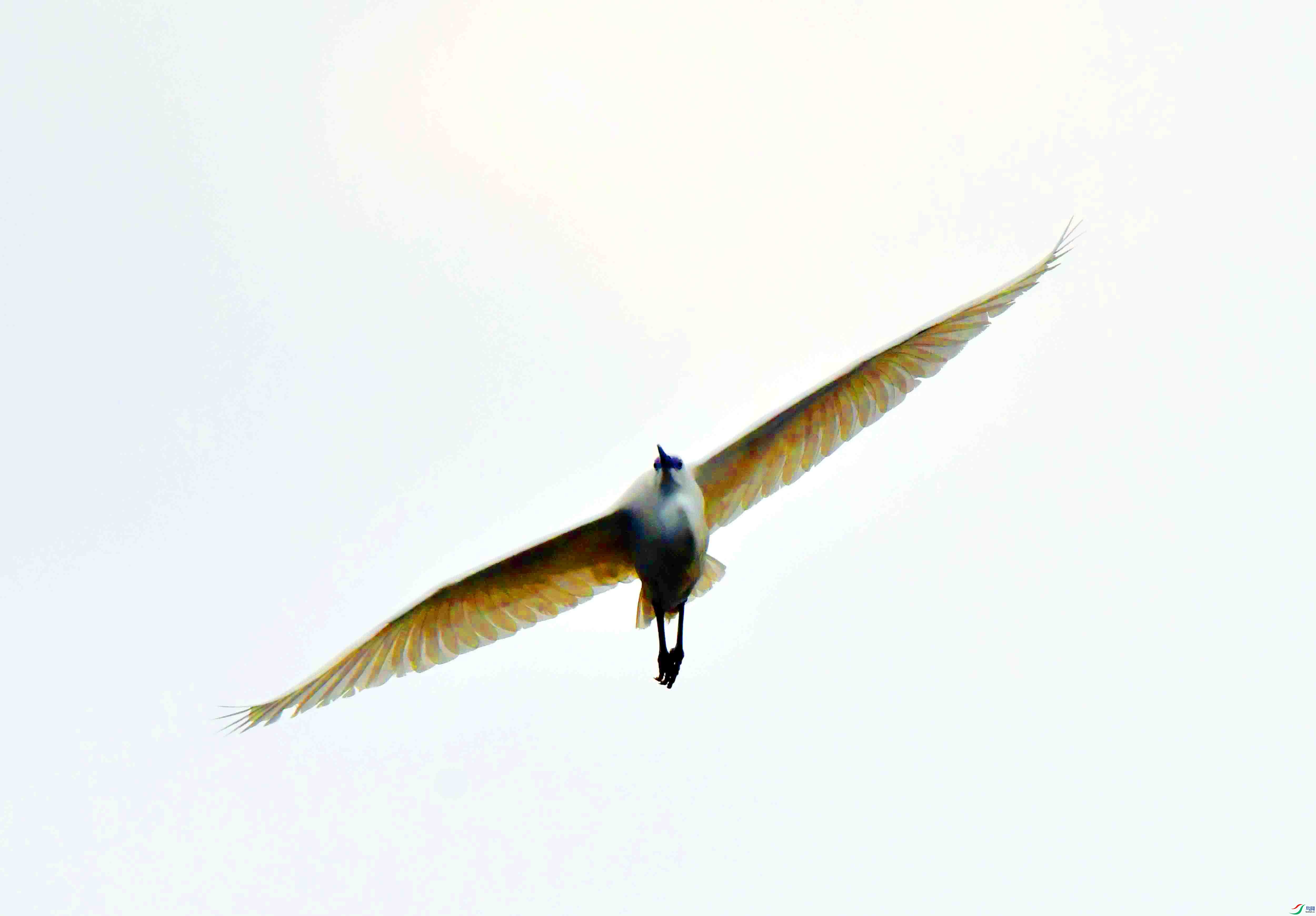 DSC_9851.JPG