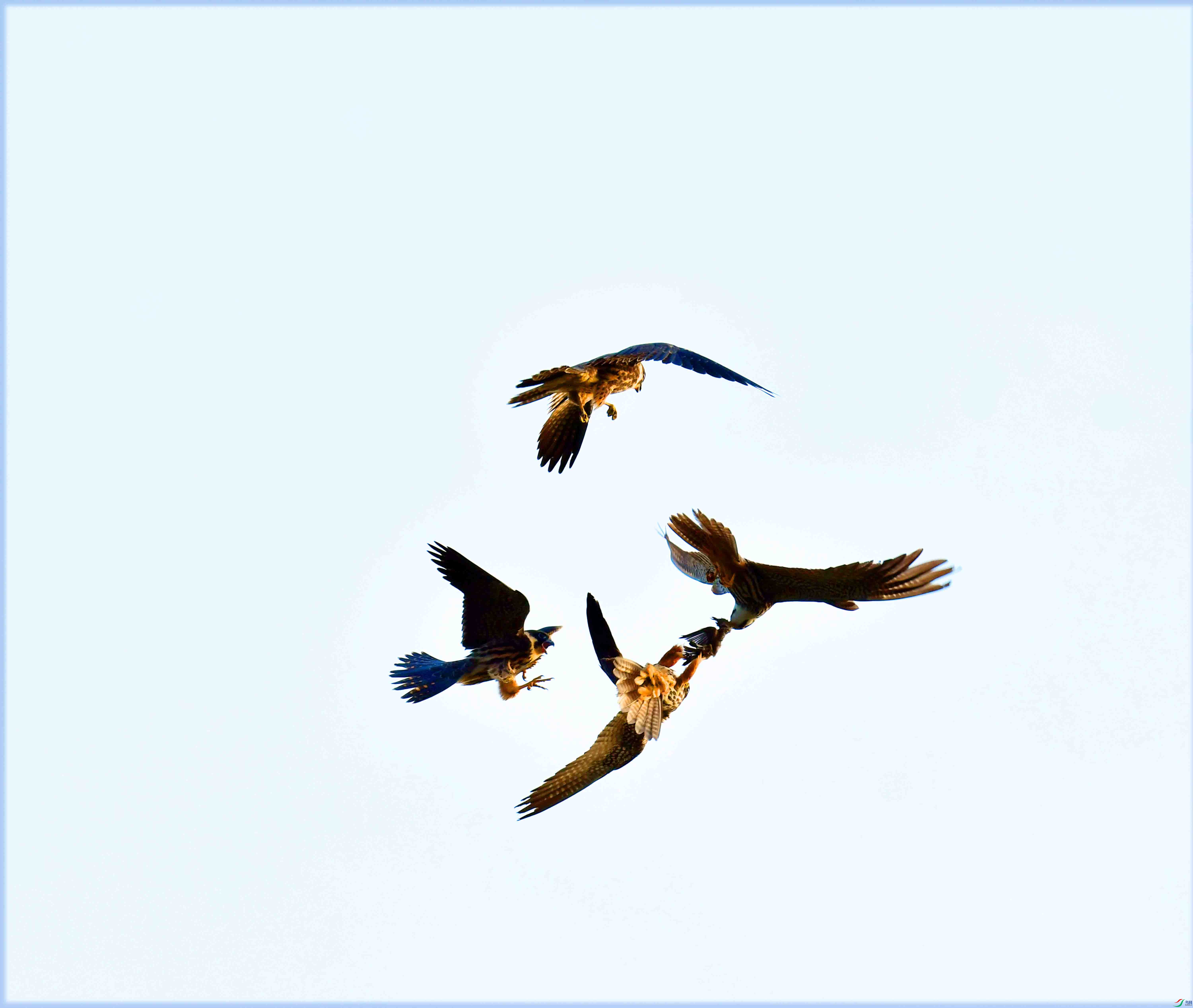 DSC_0098.JPG
