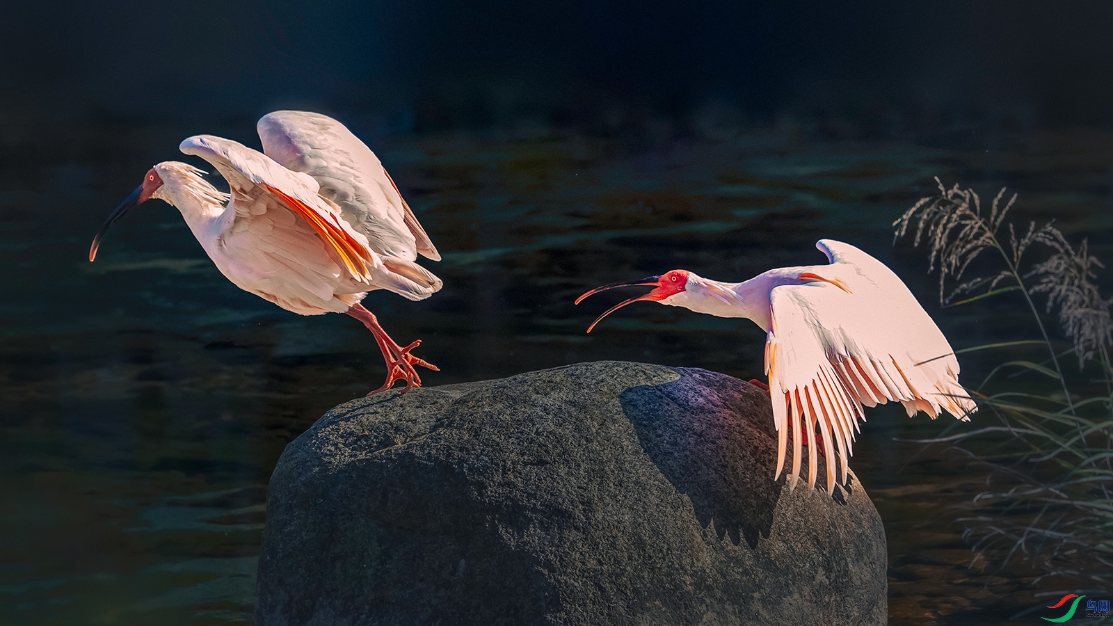 ���q----һɽ���ݶ���