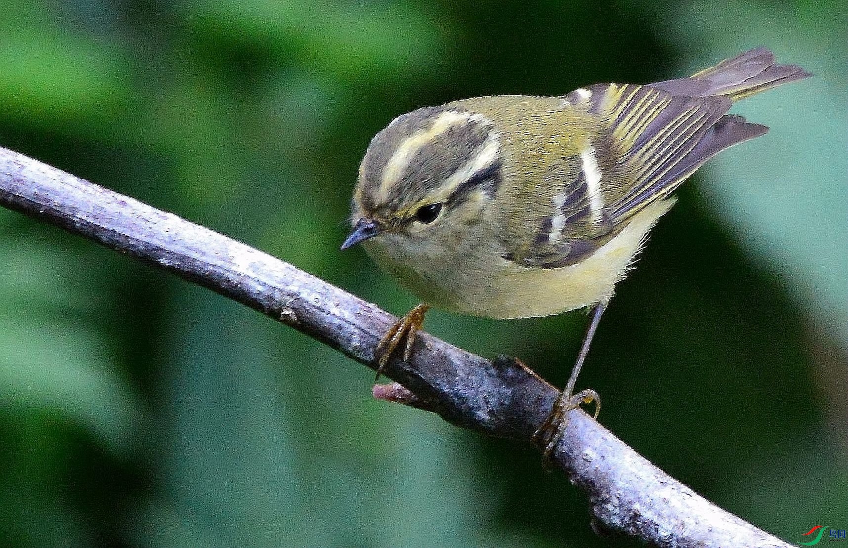 DSC_1816.JPG
