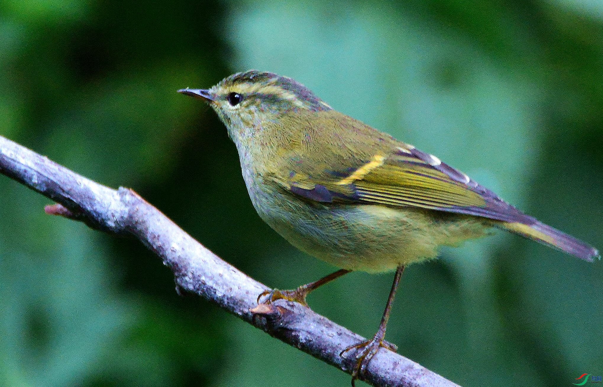 DSC_1815.JPG