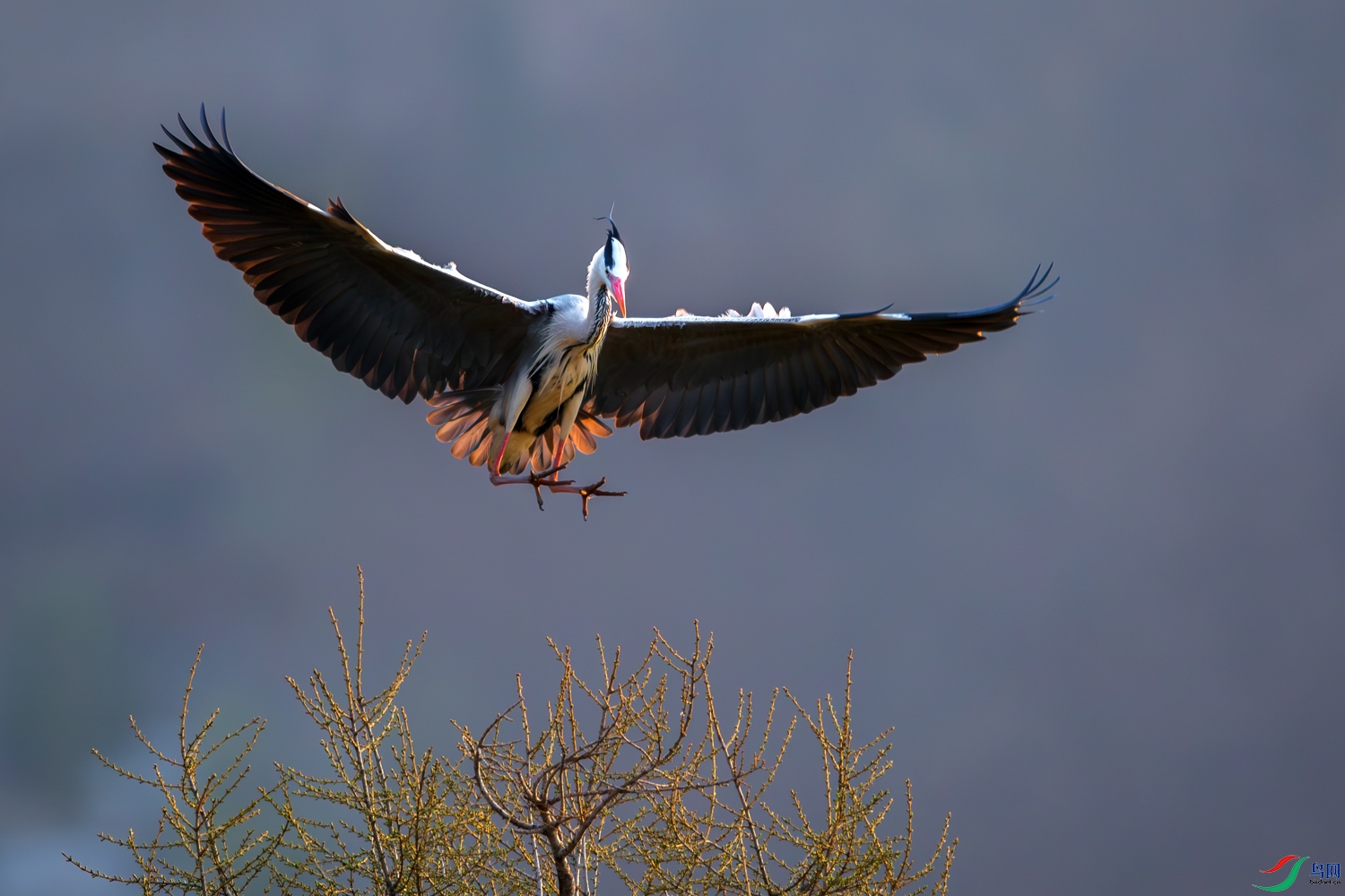 1N5A1888-����ǿ-NR ����.jpg