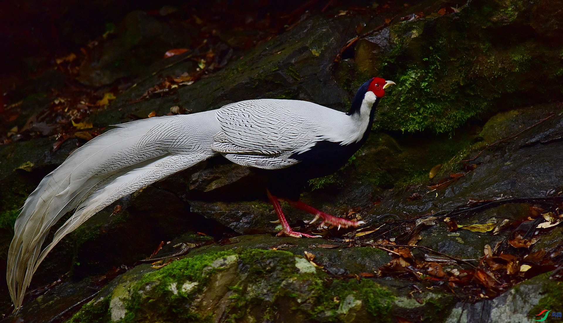 D8I_6802.jpg