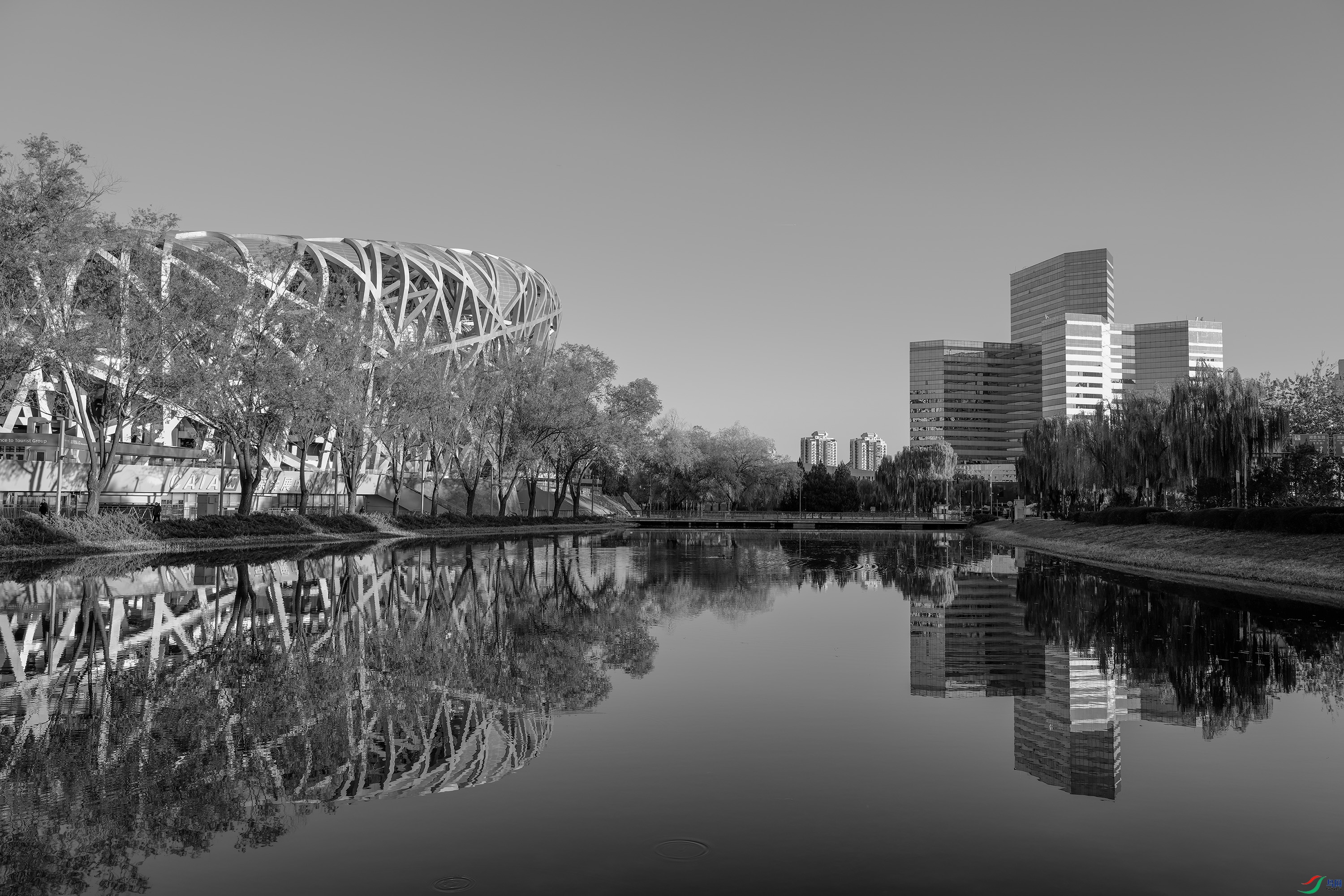 DSCF0346 ����.jpg
