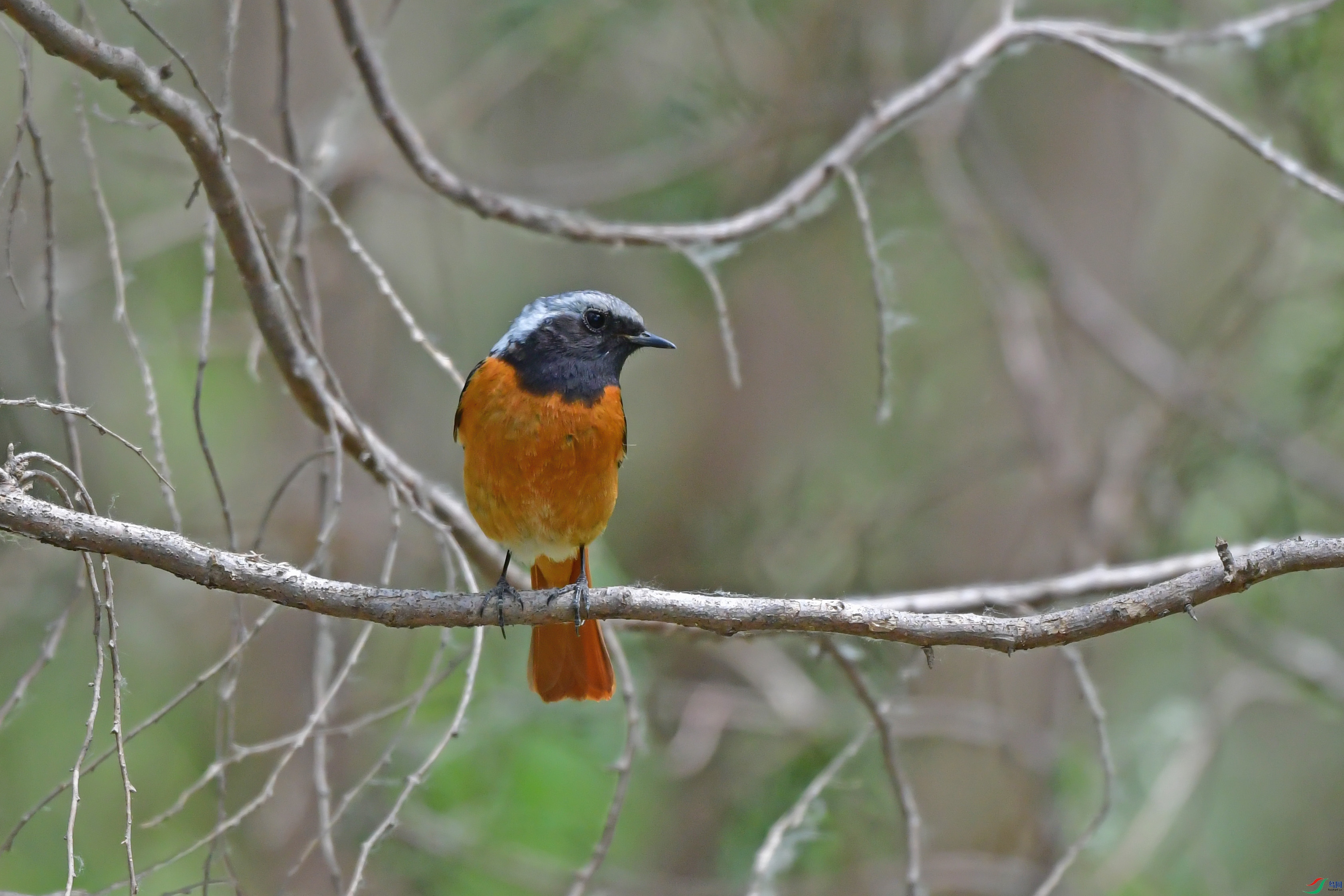 DSC_5524.jpg