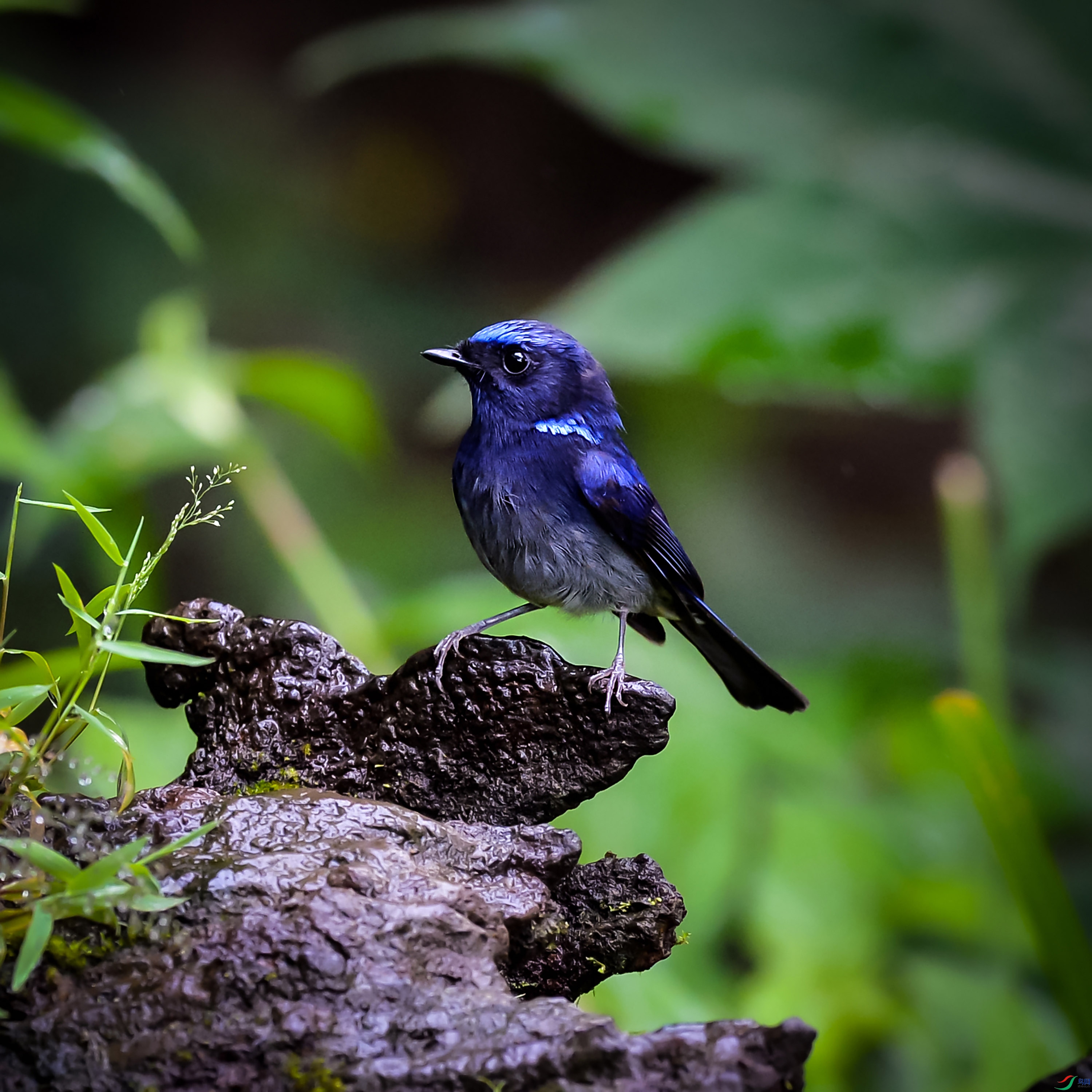 DSC_9458a.jpg