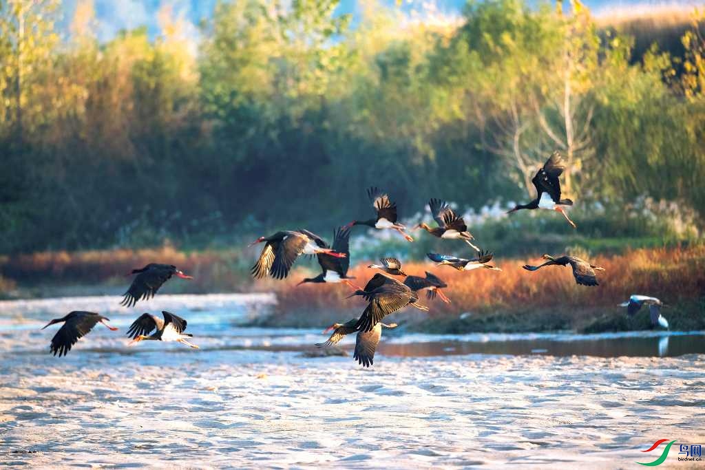 DSC_6908 ����_����-Exposure.jpg