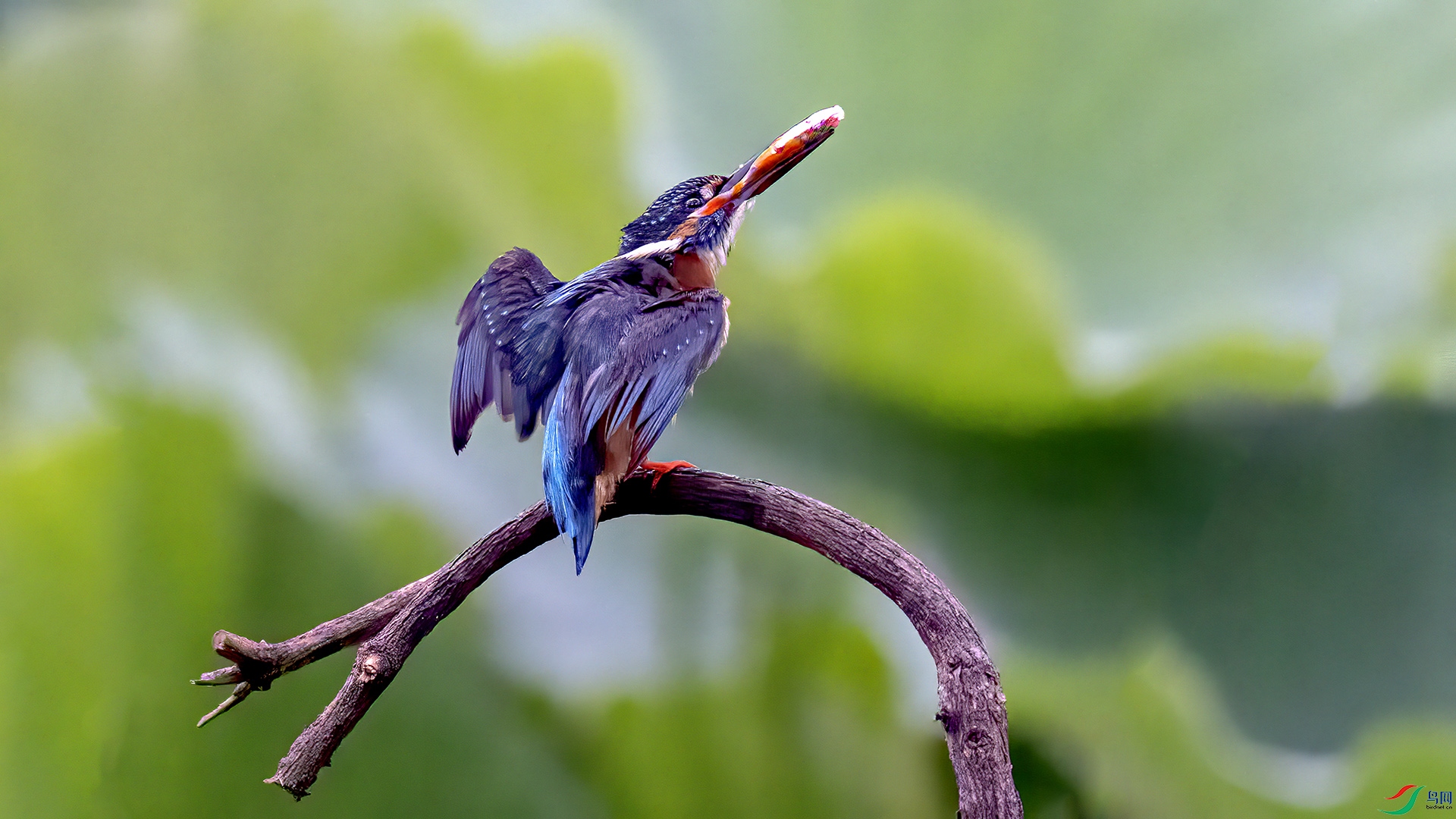 DSC_9014-.jpg