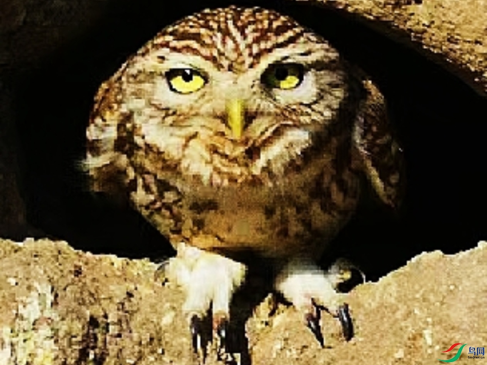 MEITU_20241123_074932134.jpg