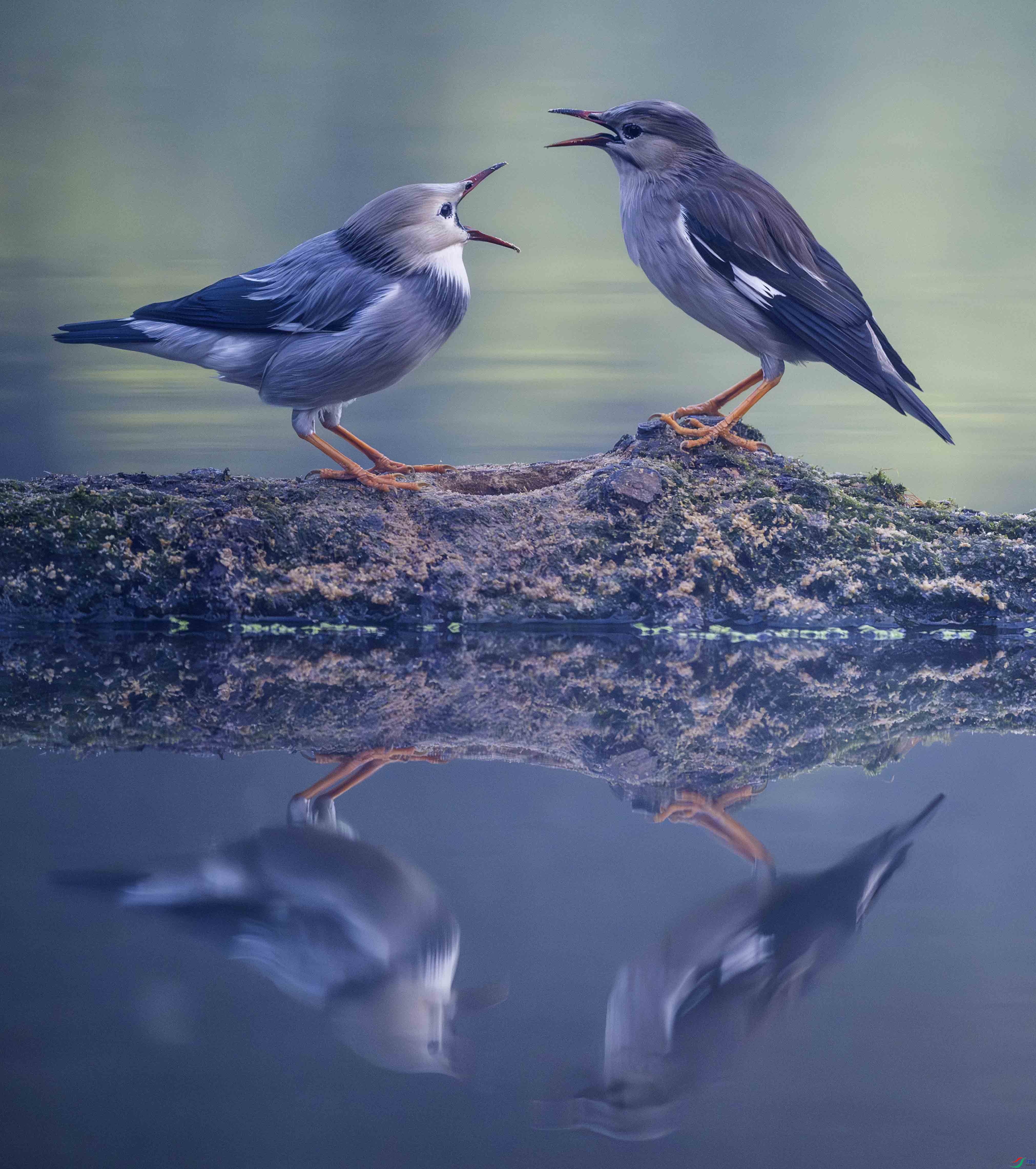 �������