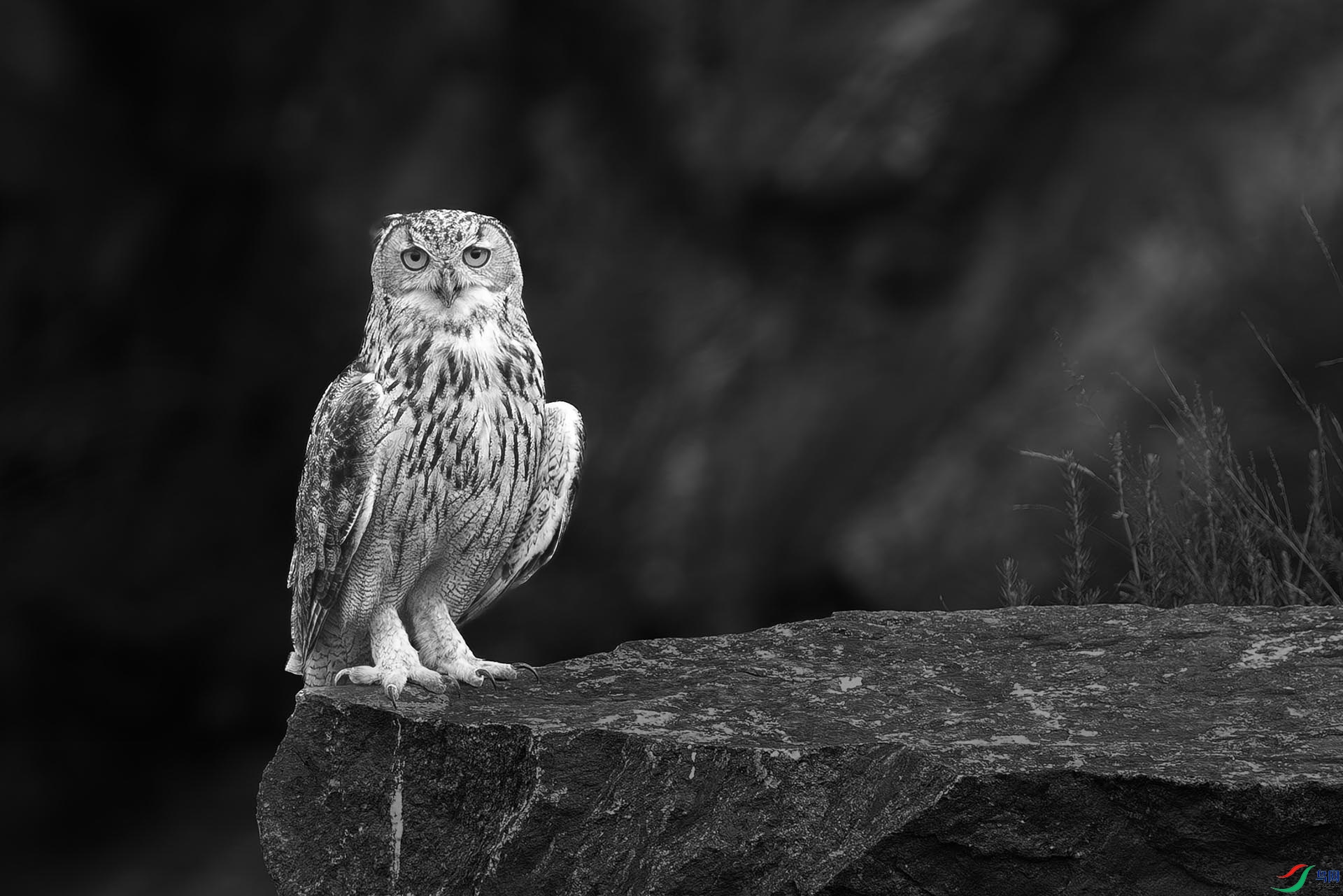 DSC06783 ����.jpg