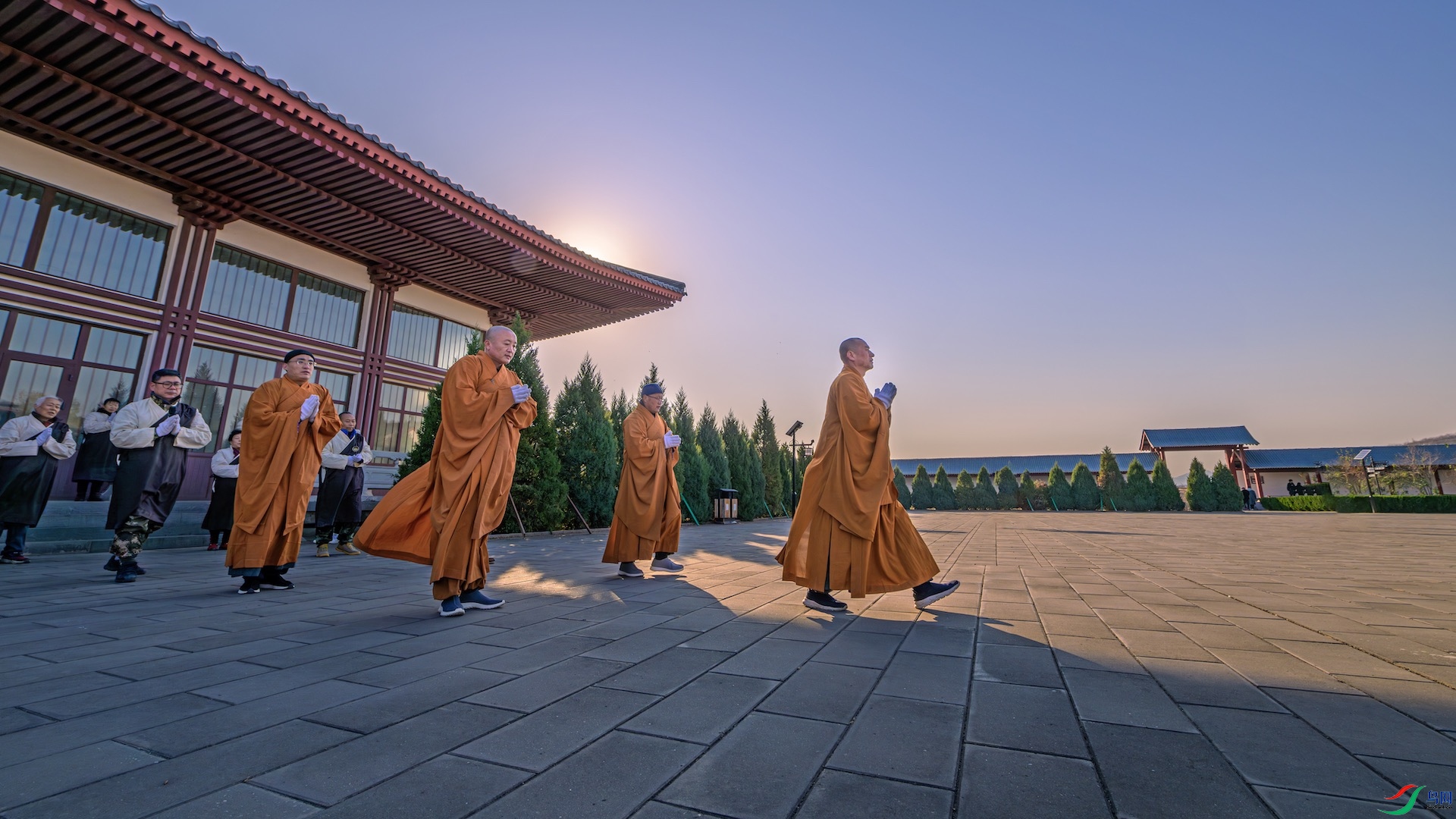 1_DSC2390-����ǿ-NR ���� 2.jpeg