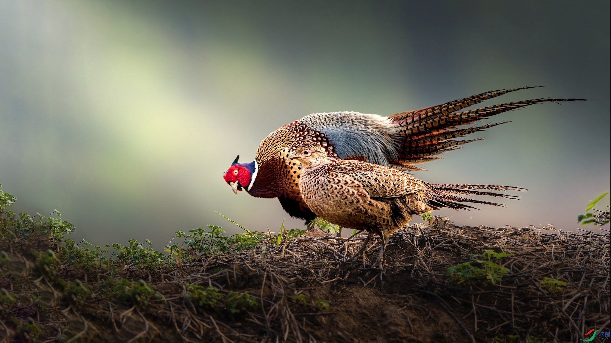 1_XXI5102-1 ���� 3.jpeg