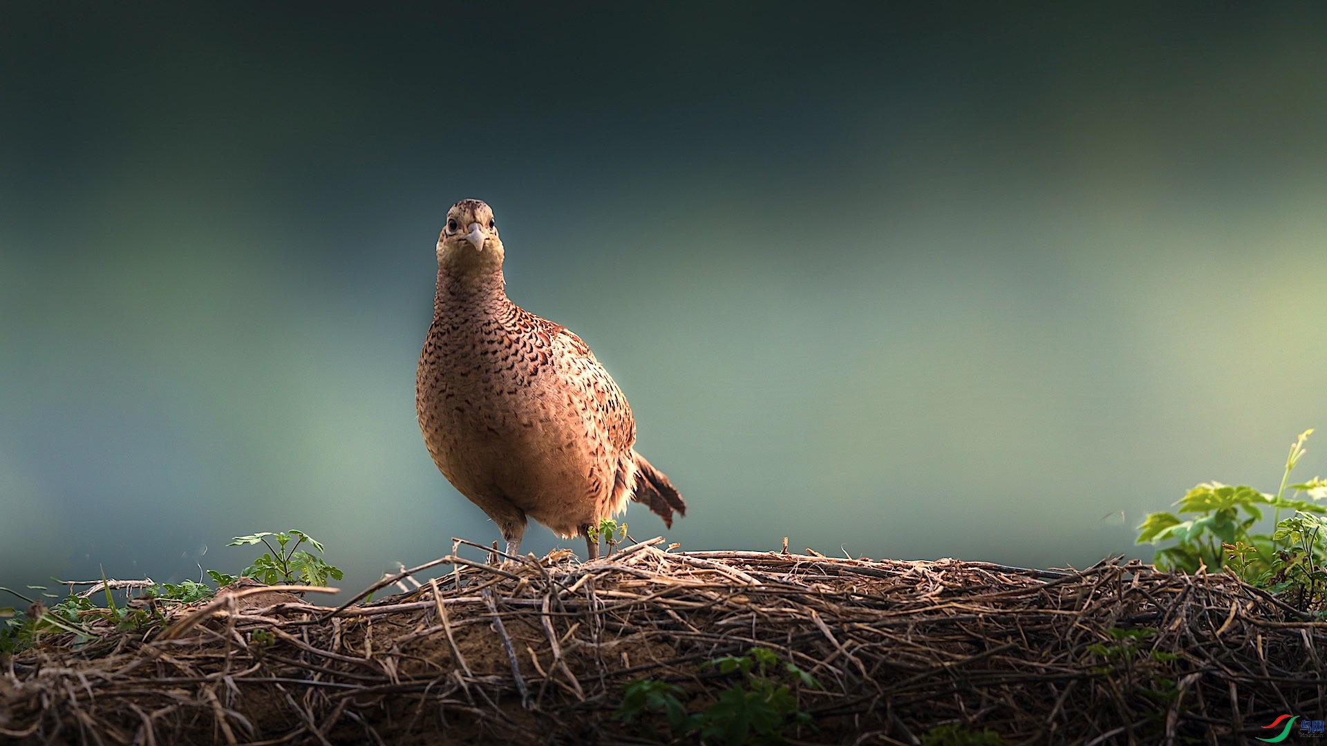 1-2_XXI2718 ���� 2.jpeg