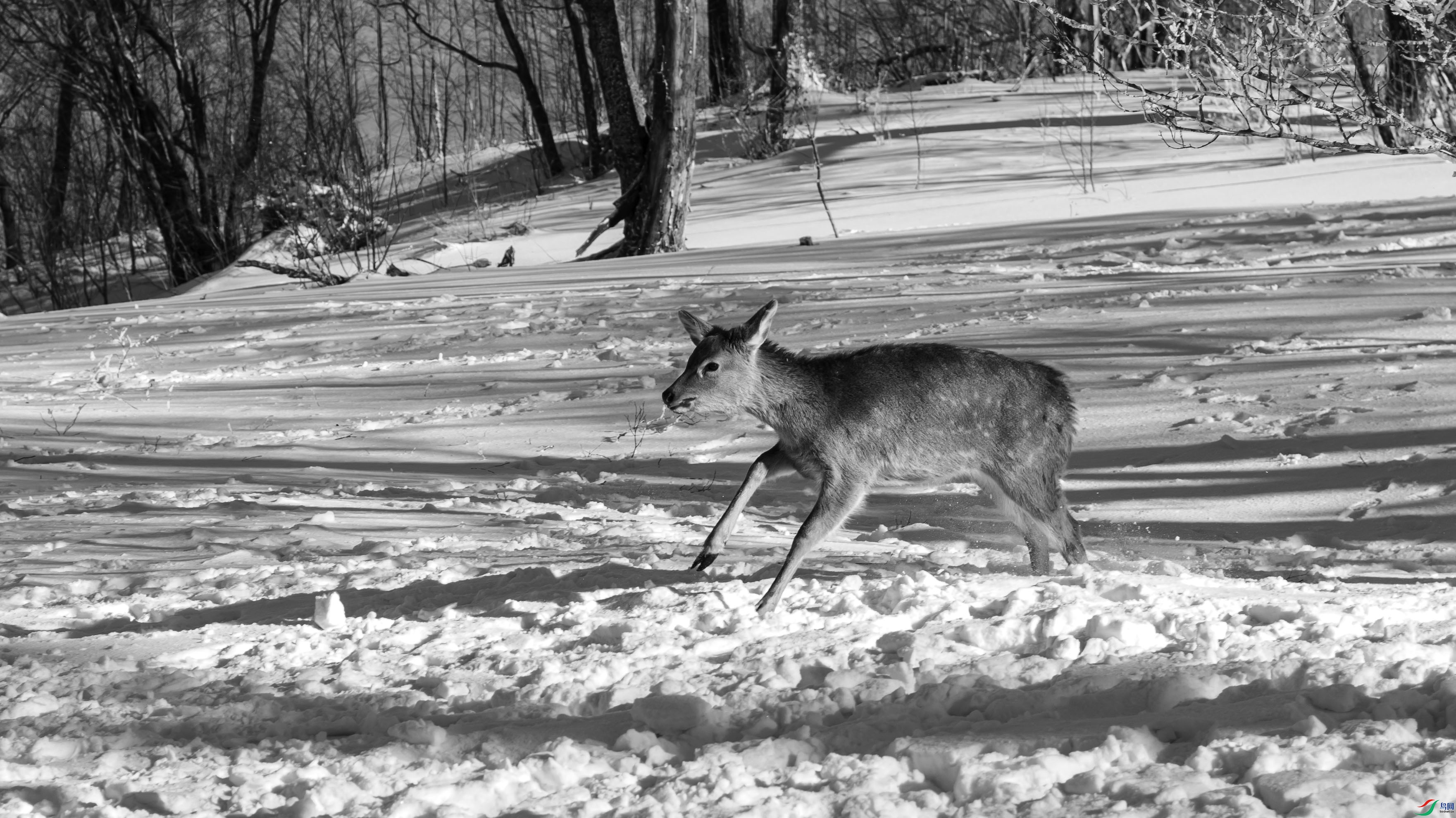 DSC_5162 ����.jpg