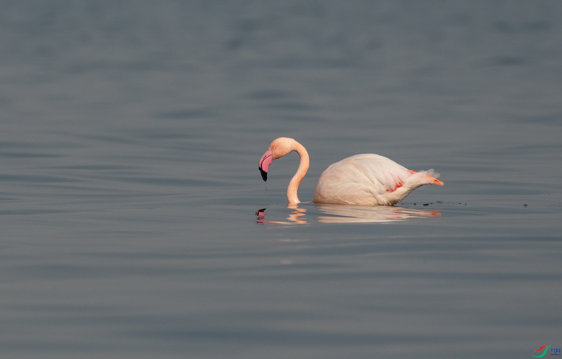 DSC_7647.jpg