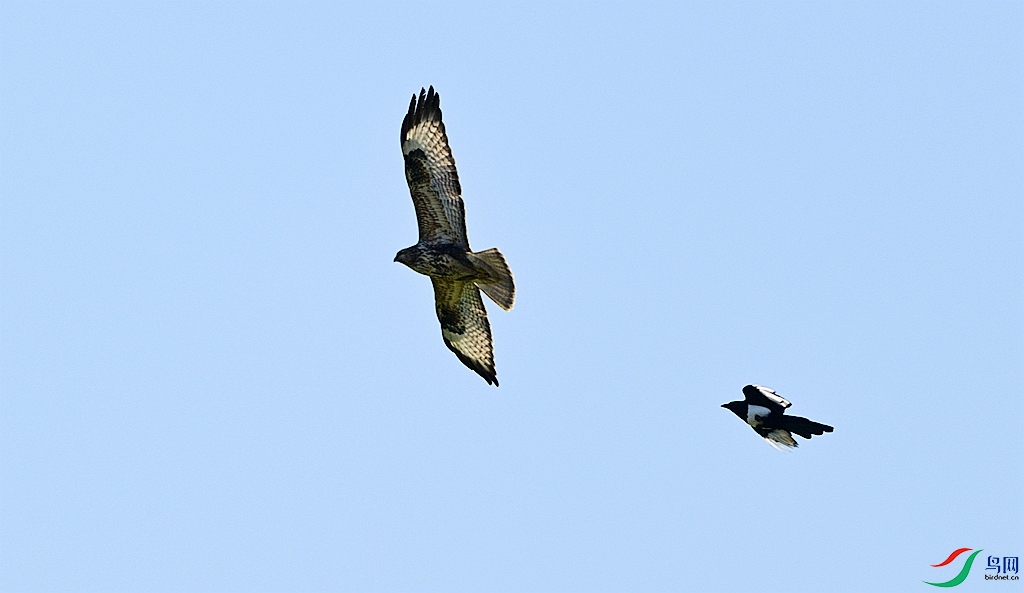 DSC_2523.JPG