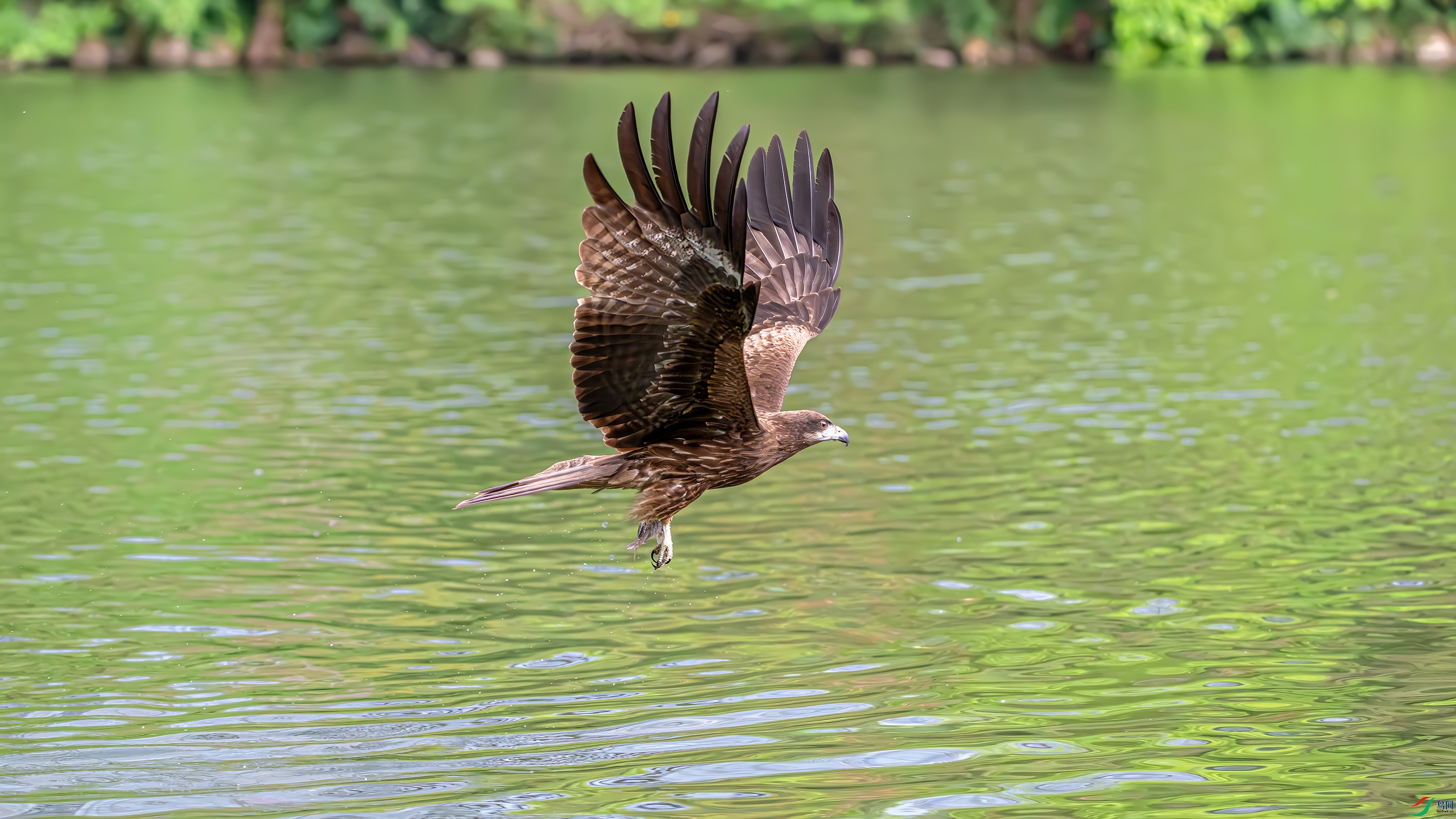 DSC_2632.jpg