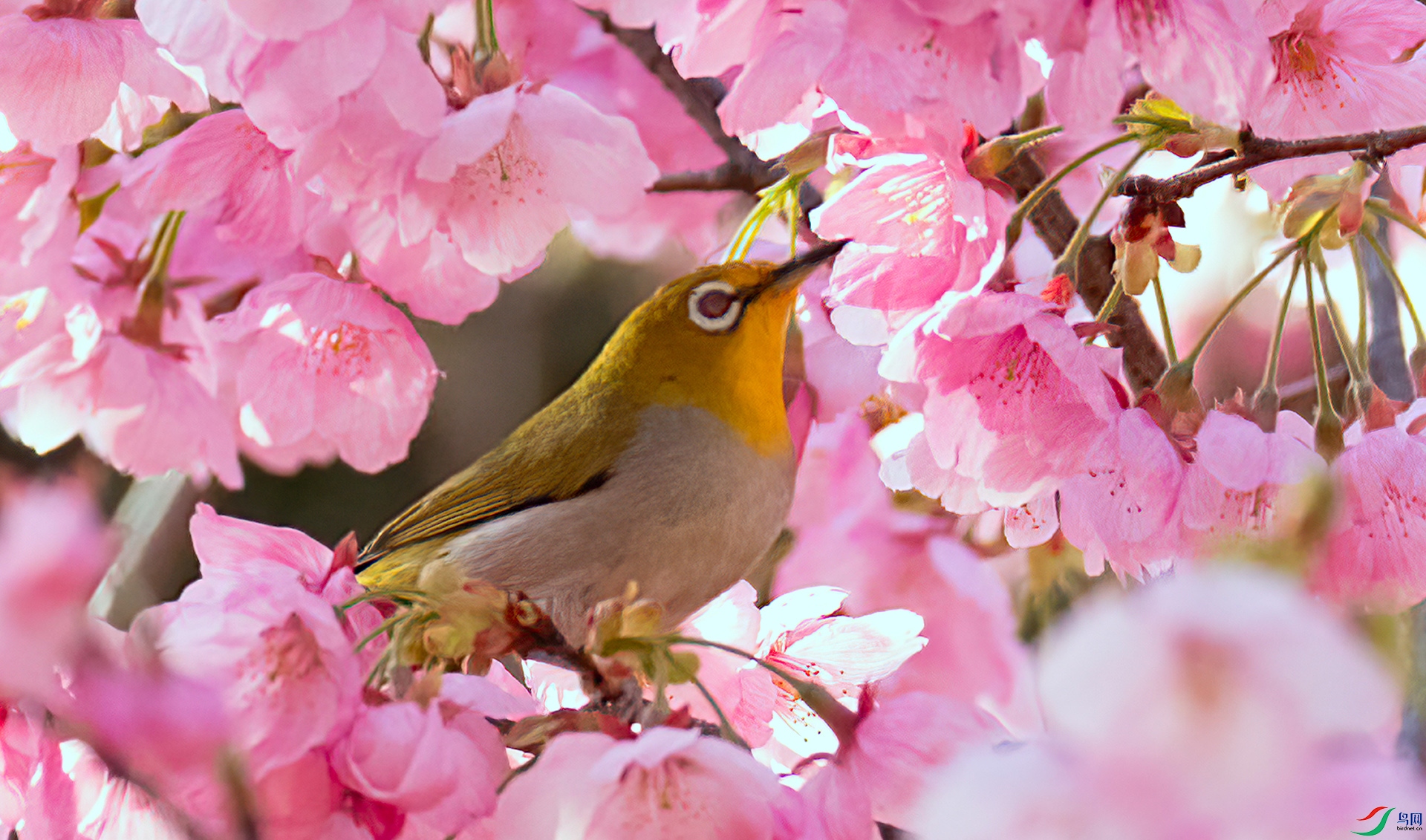 407A0634 ����-Sh----1 .jpg