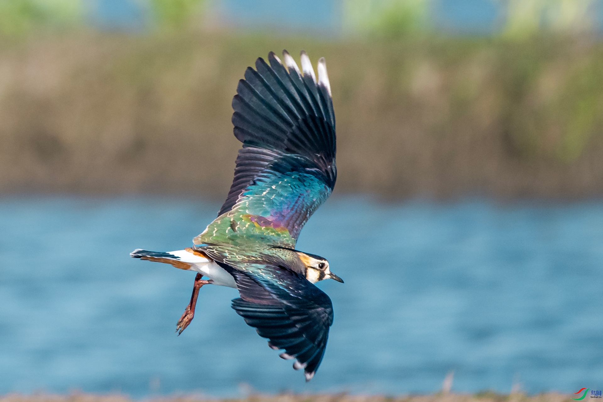 DSC_7565.jpg