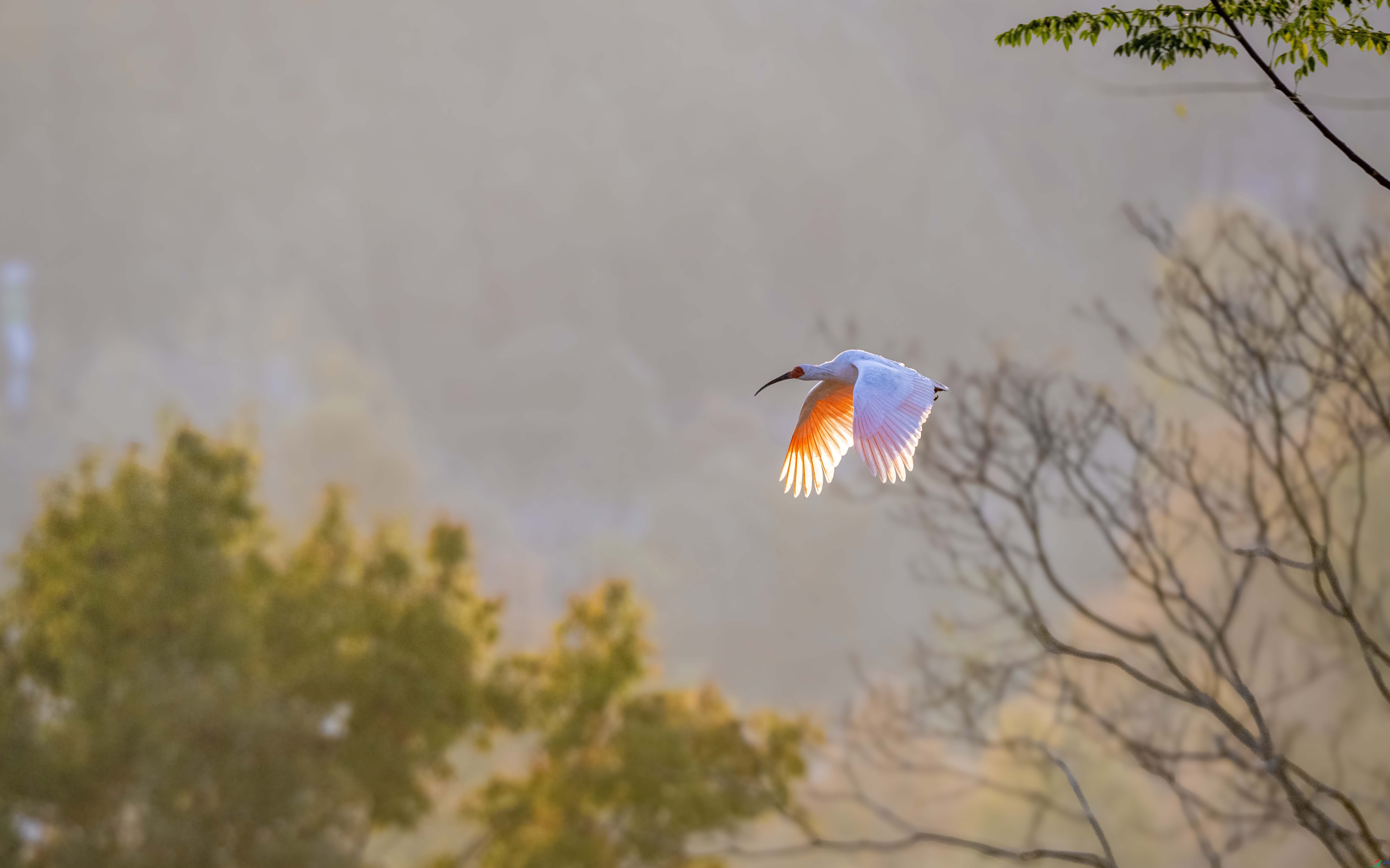 DSC_4868 ����.jpg