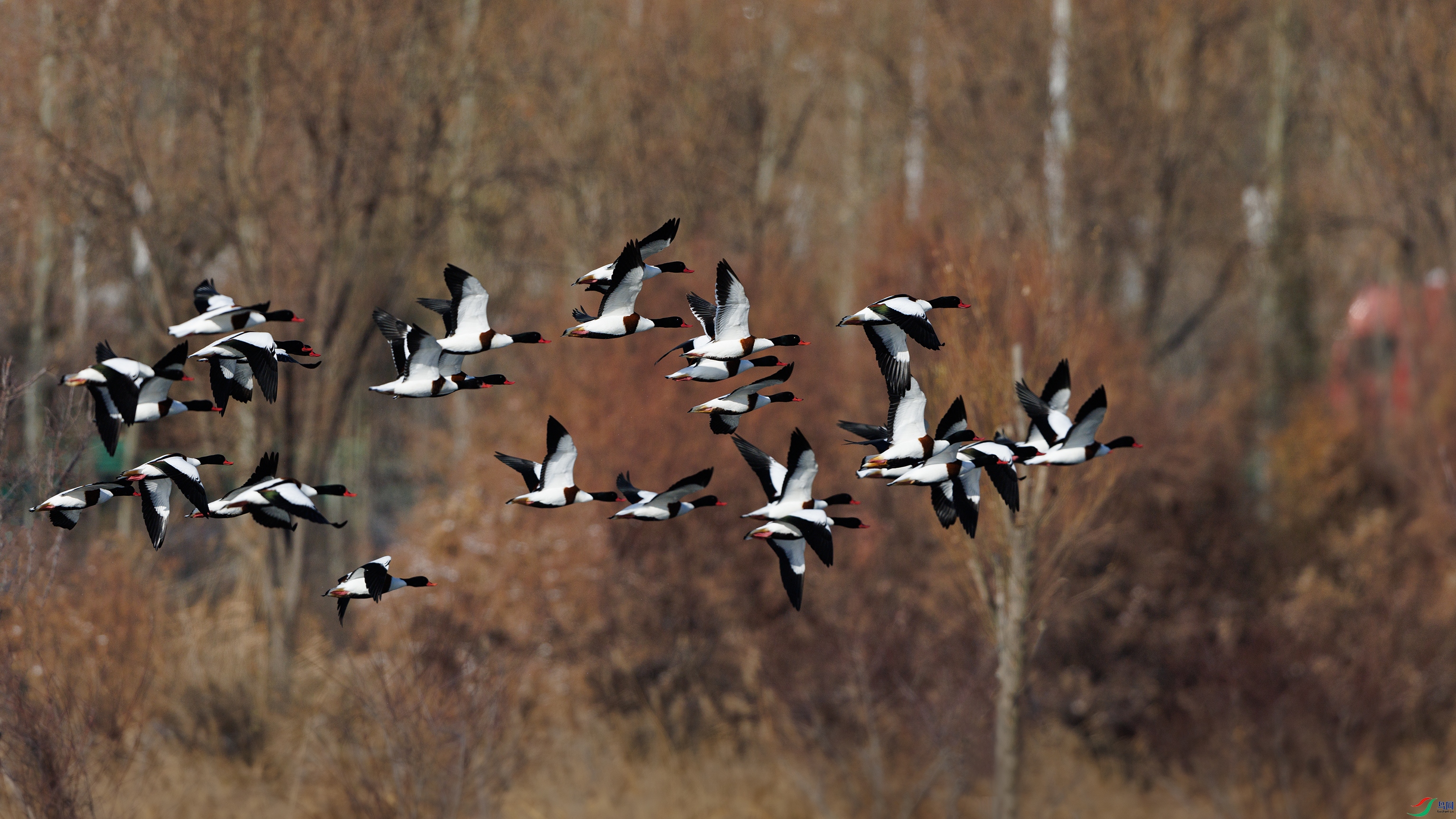 7X5A2263 ����44444.jpg