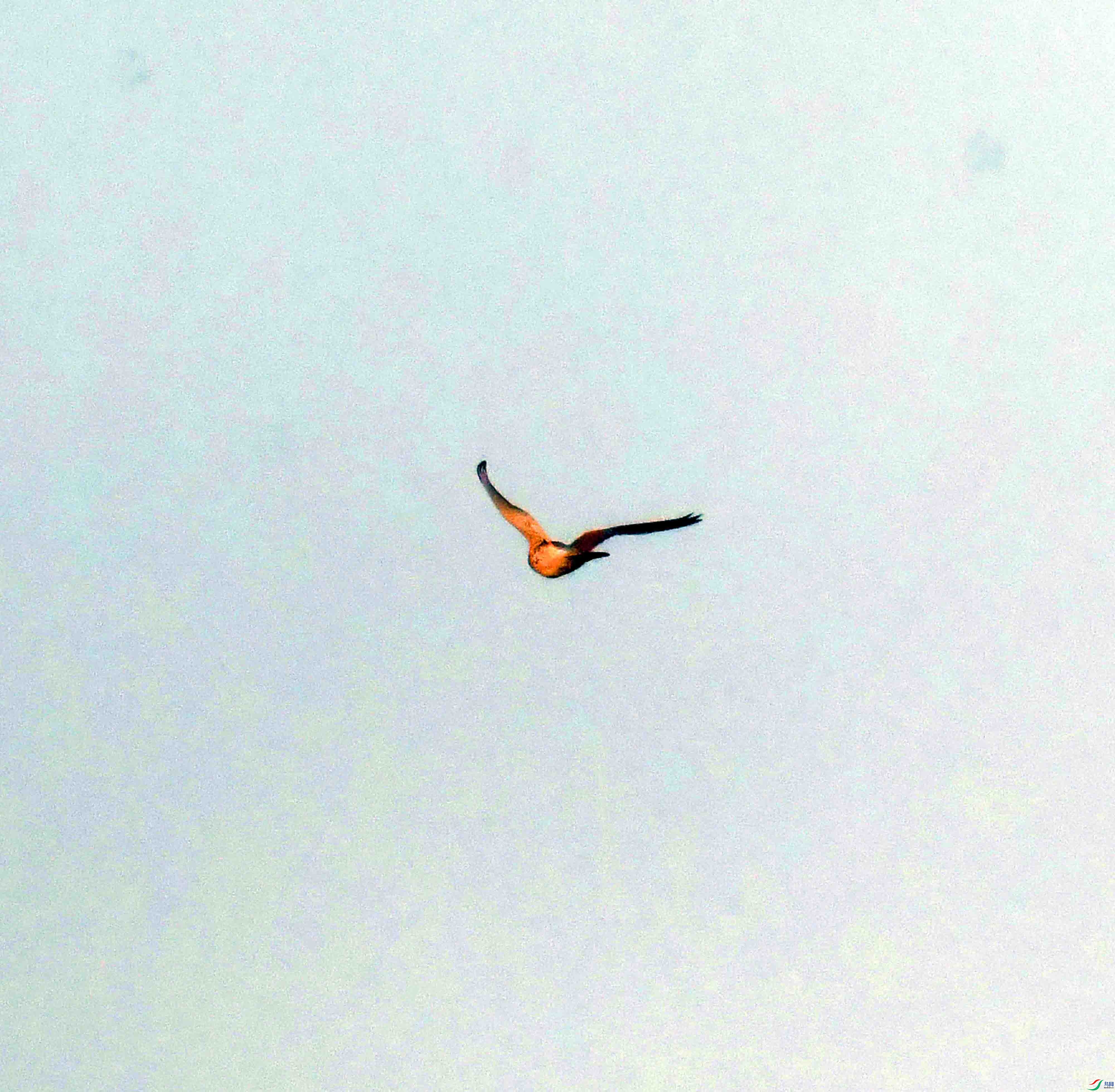 DSC_4820.JPG