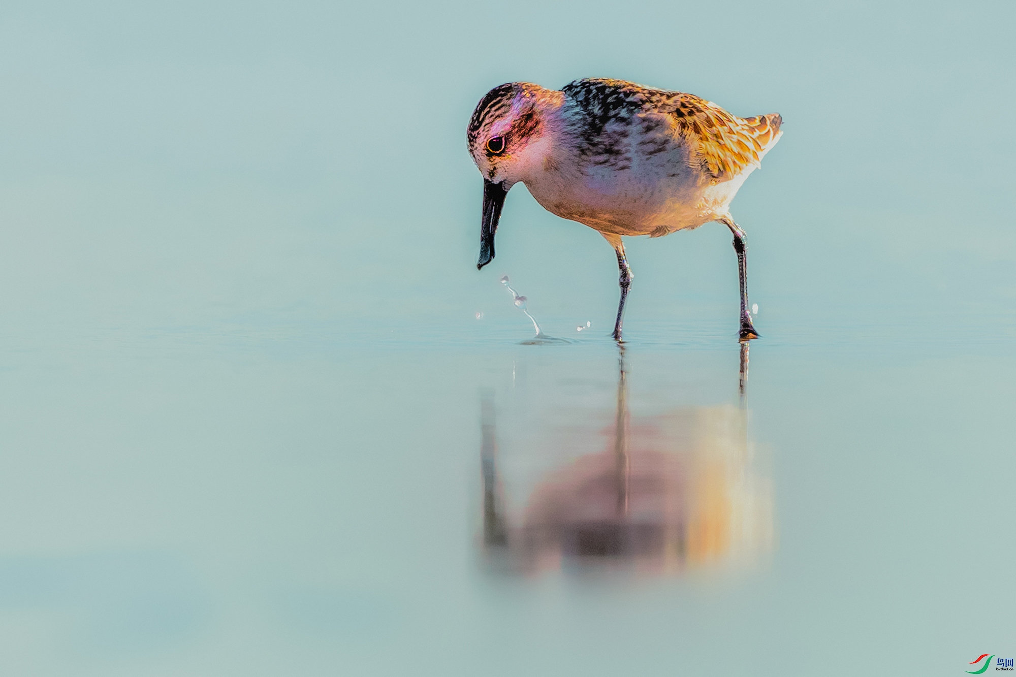 ������----����������