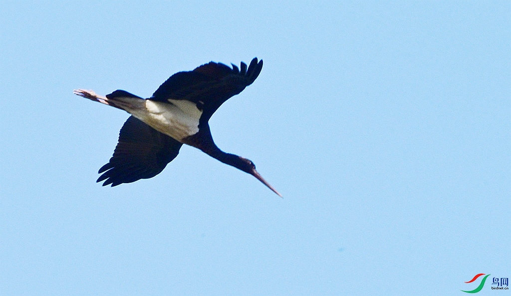 DSC_1930 - ����.JPG