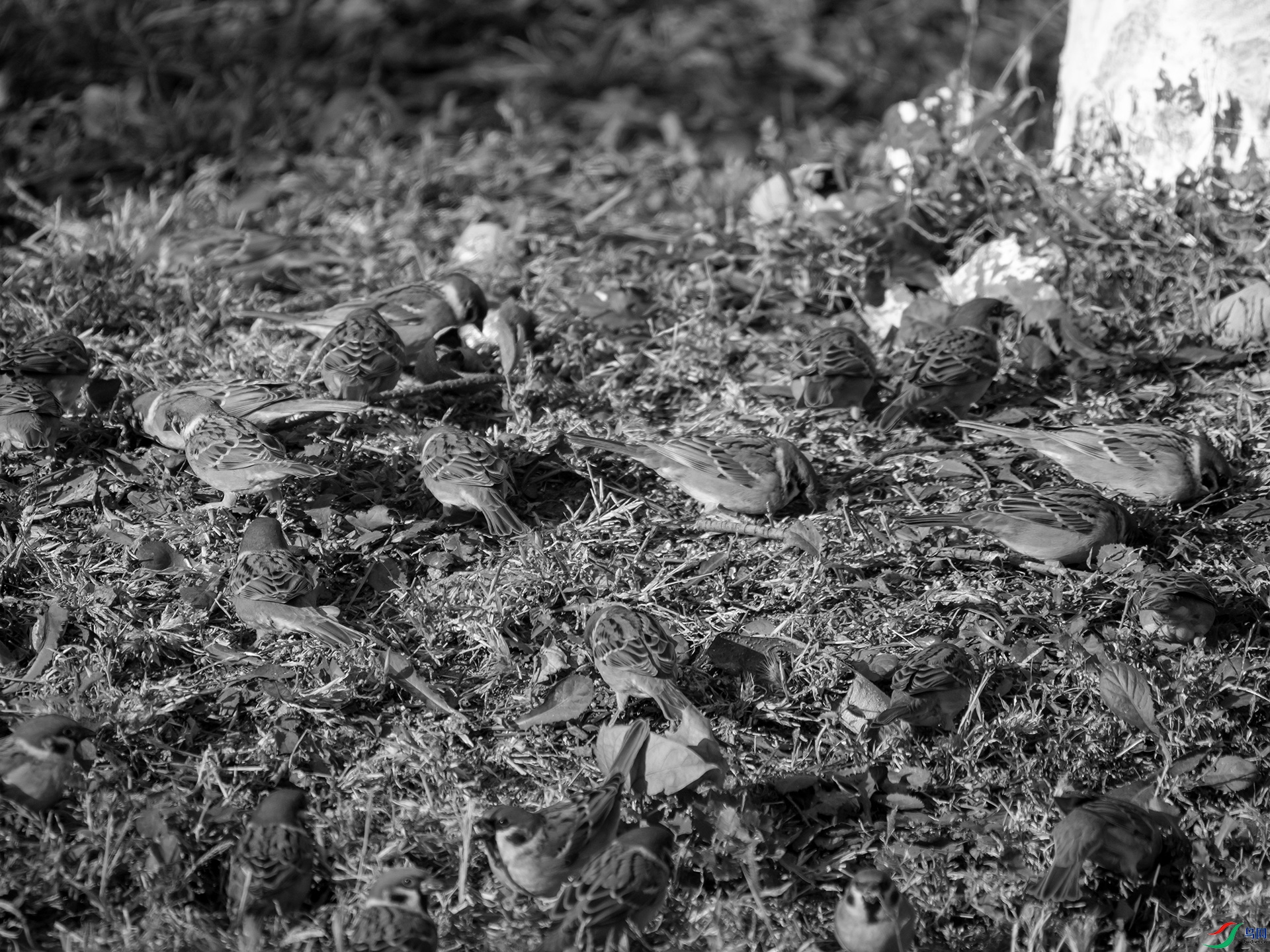 PB050510.jpg