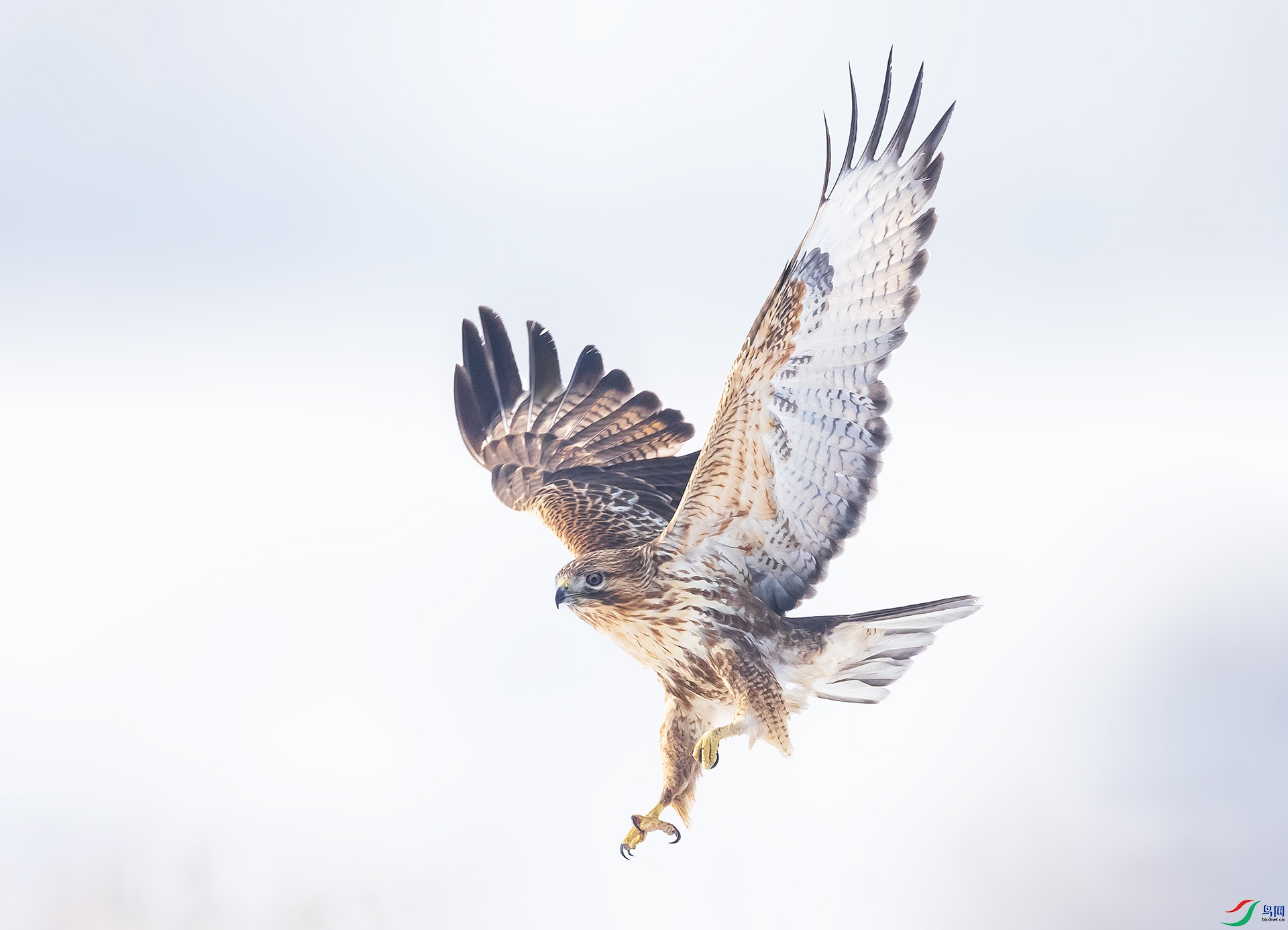 019A9309 ����.jpg