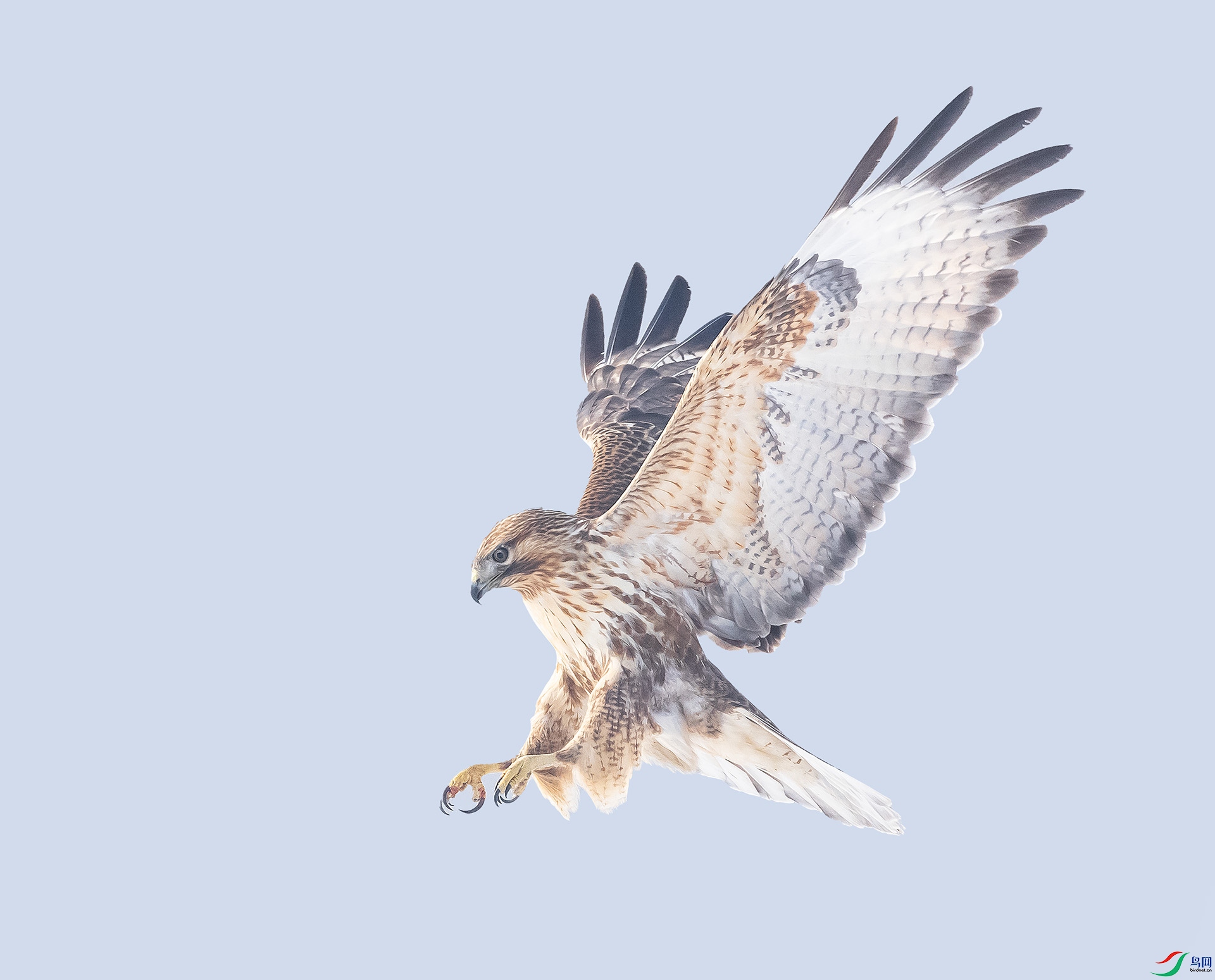 019A9427 ����.jpg