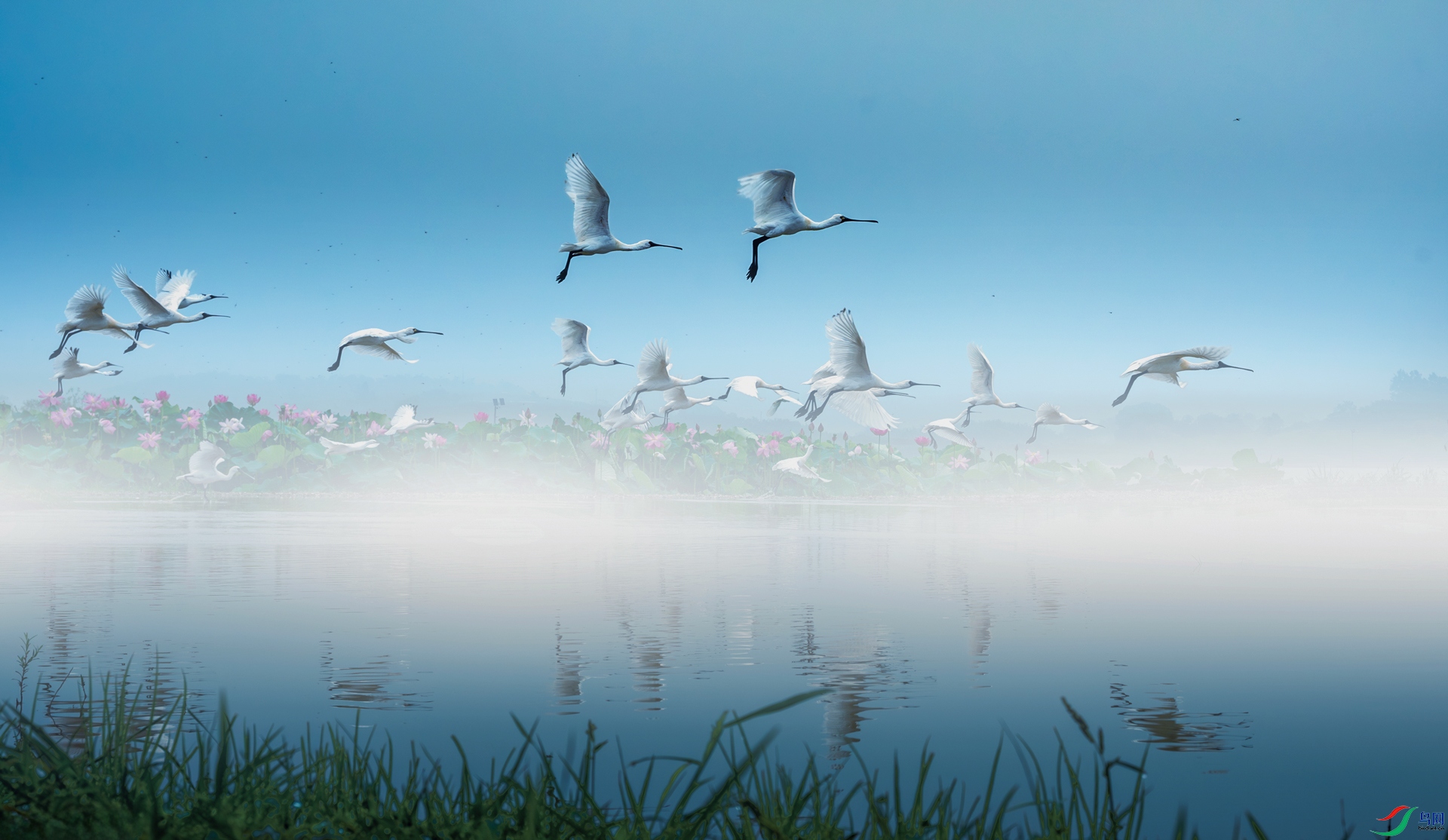 ����һ��