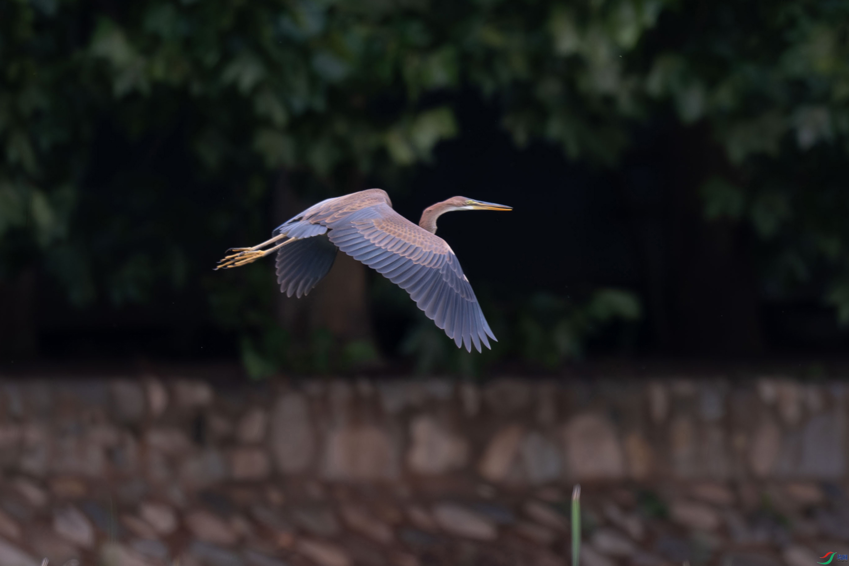 DSC_4544.jpg