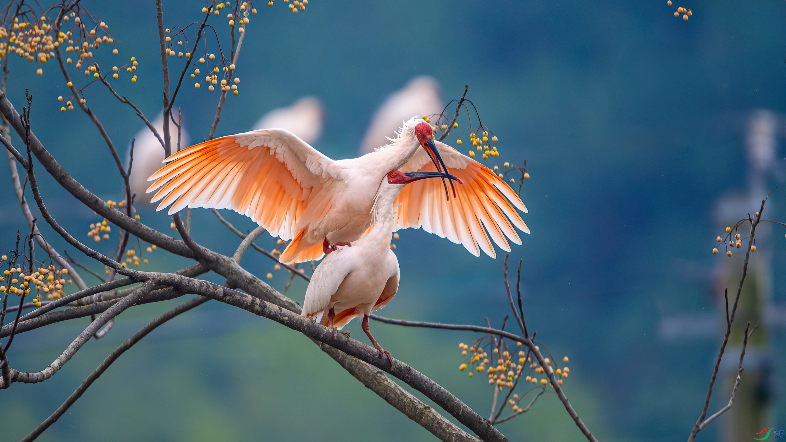 ��ƬDSC_9544-����ǿ-NR.jpg