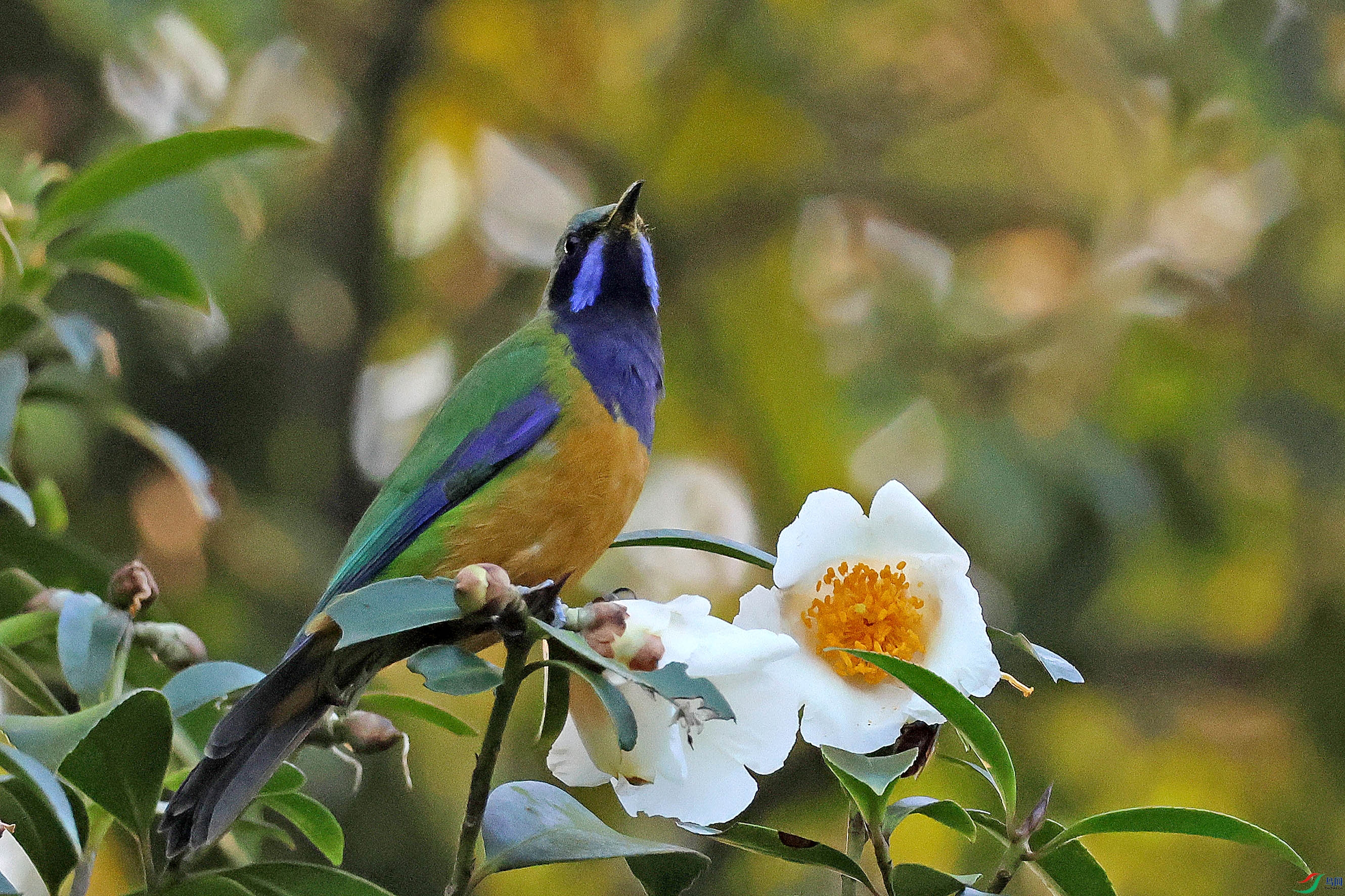 2G9A7482.JPG
