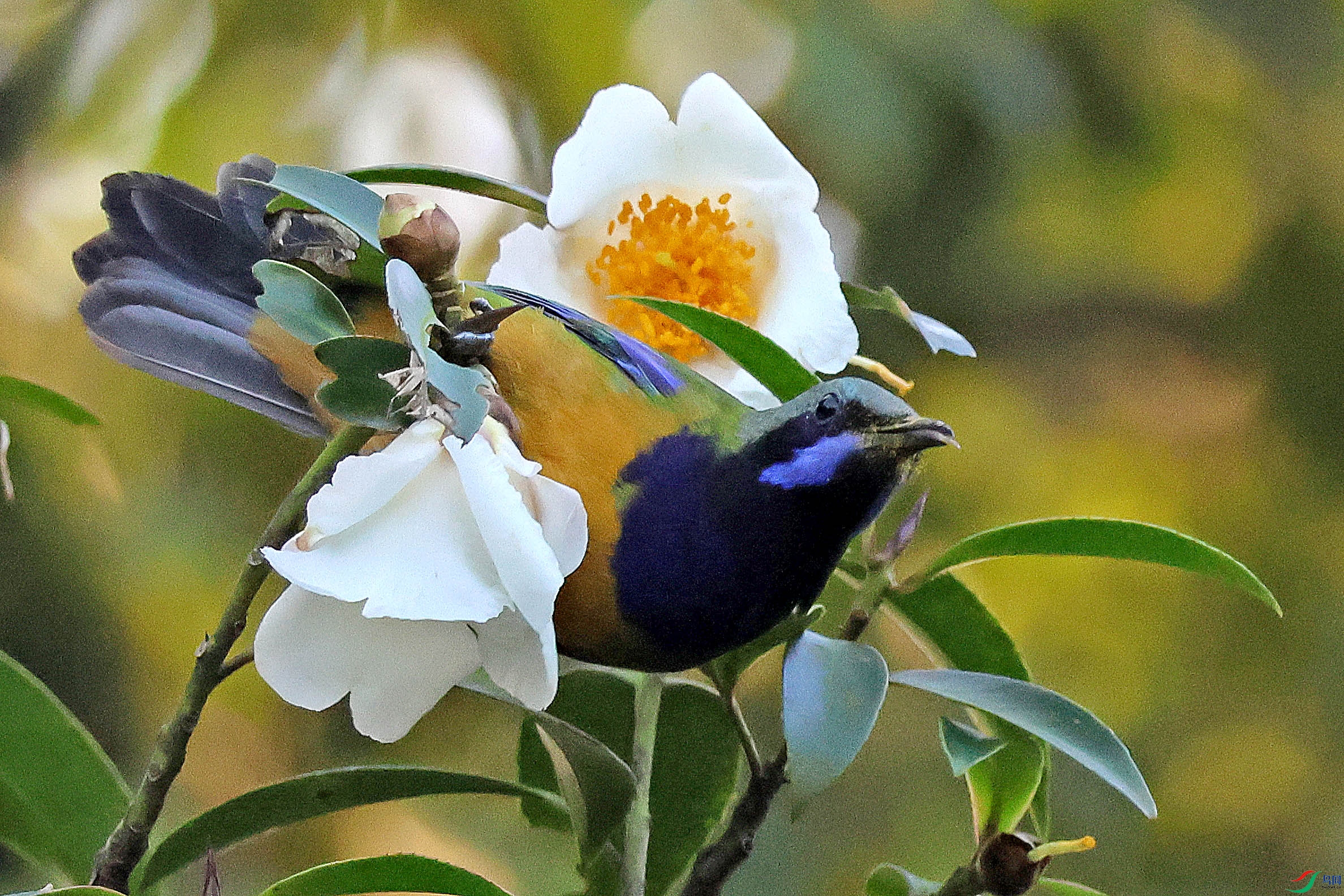 2G9A7510.JPG