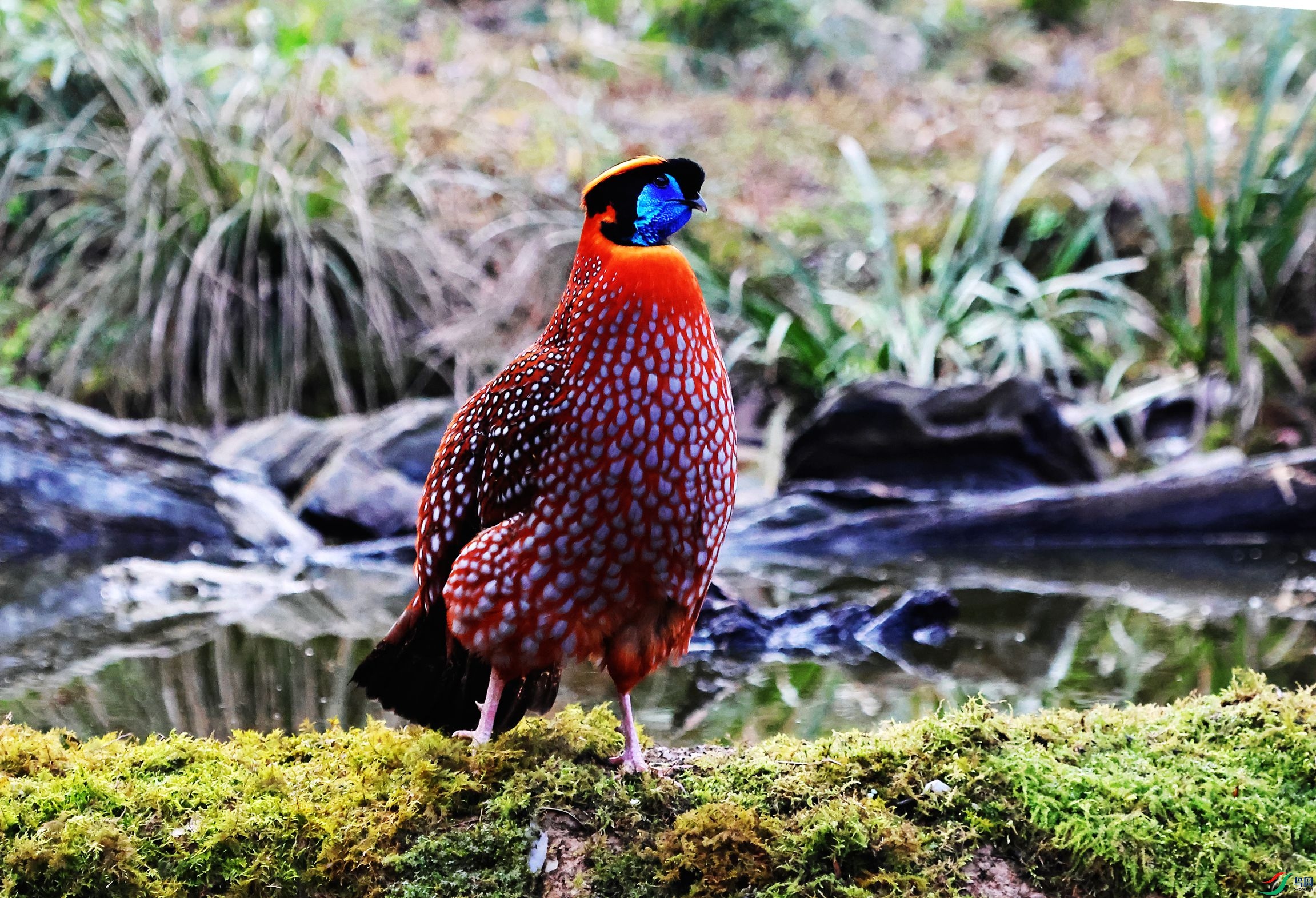 �츹���� (13).JPG