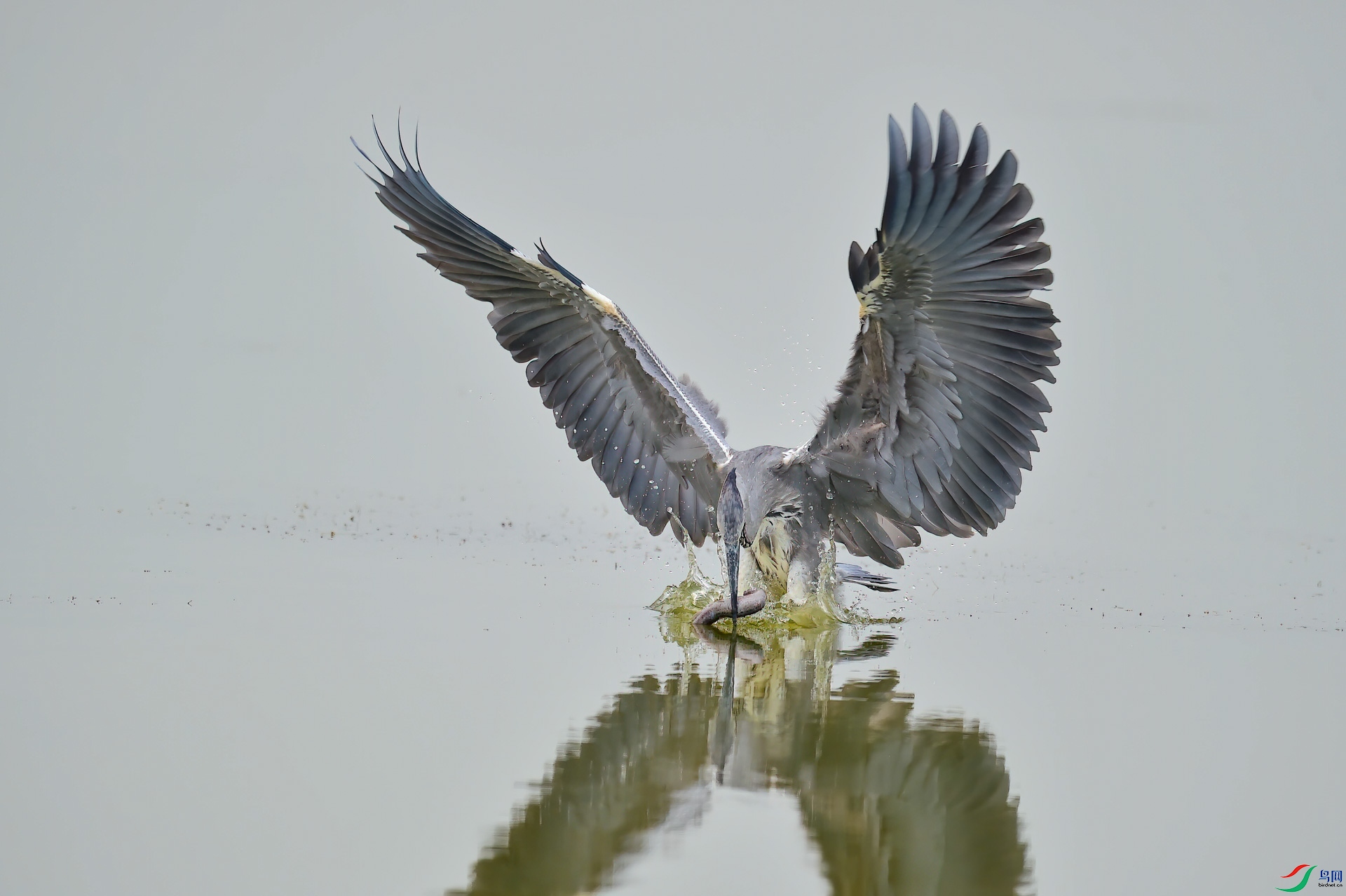 sen2016 9-10-82-�༭-�༭.jpg