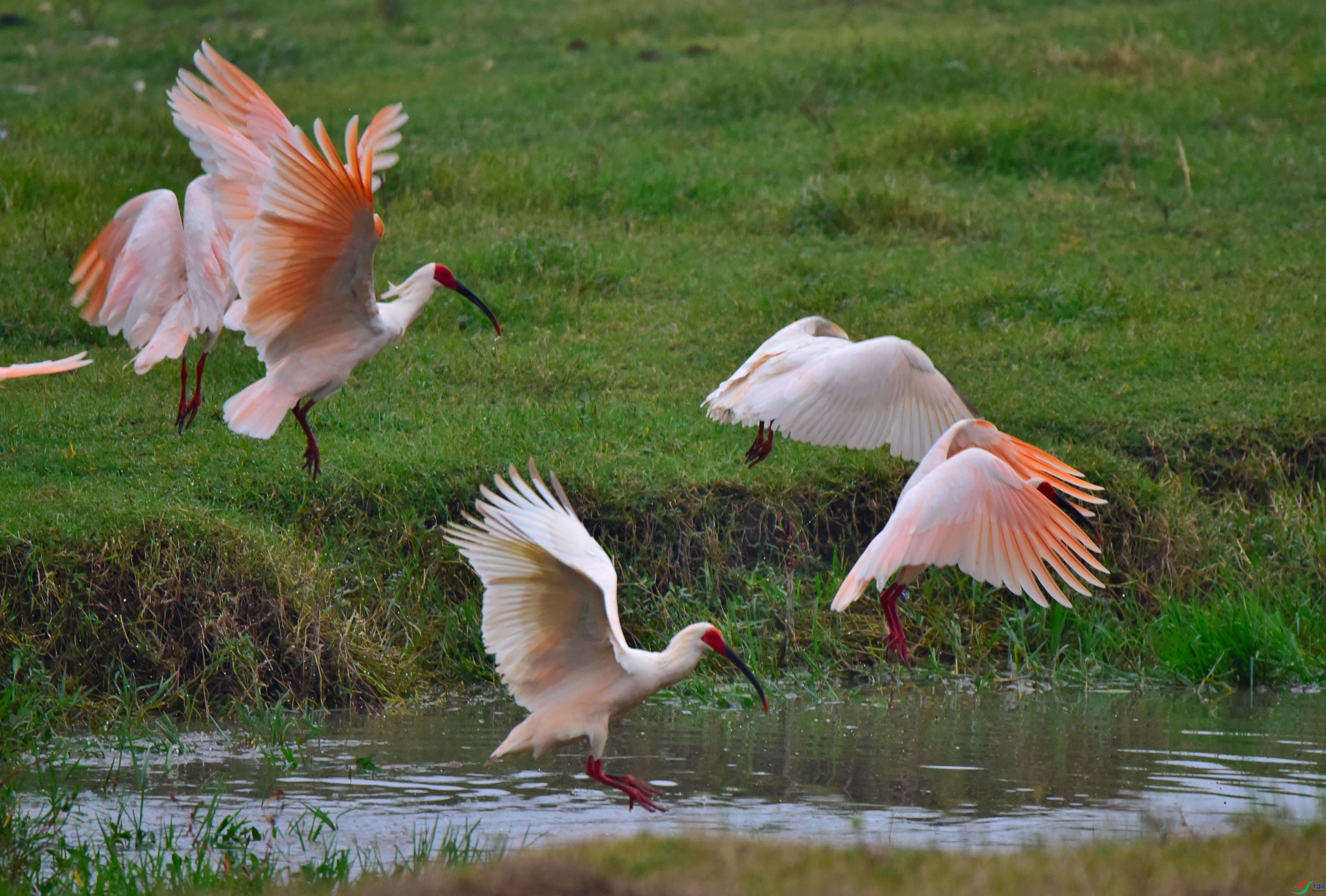 DSC_7870_01.JPG