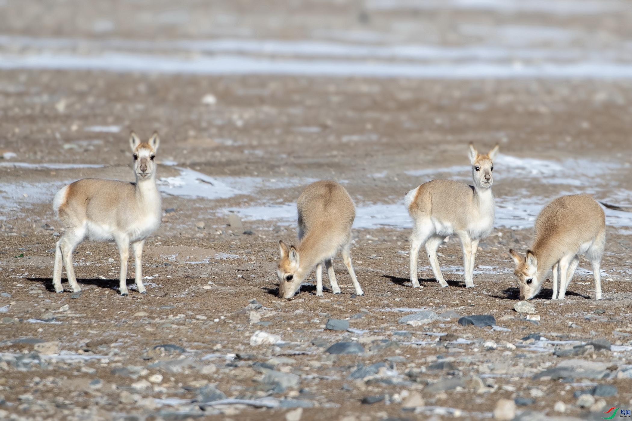 SEAH6612_������С.jpg