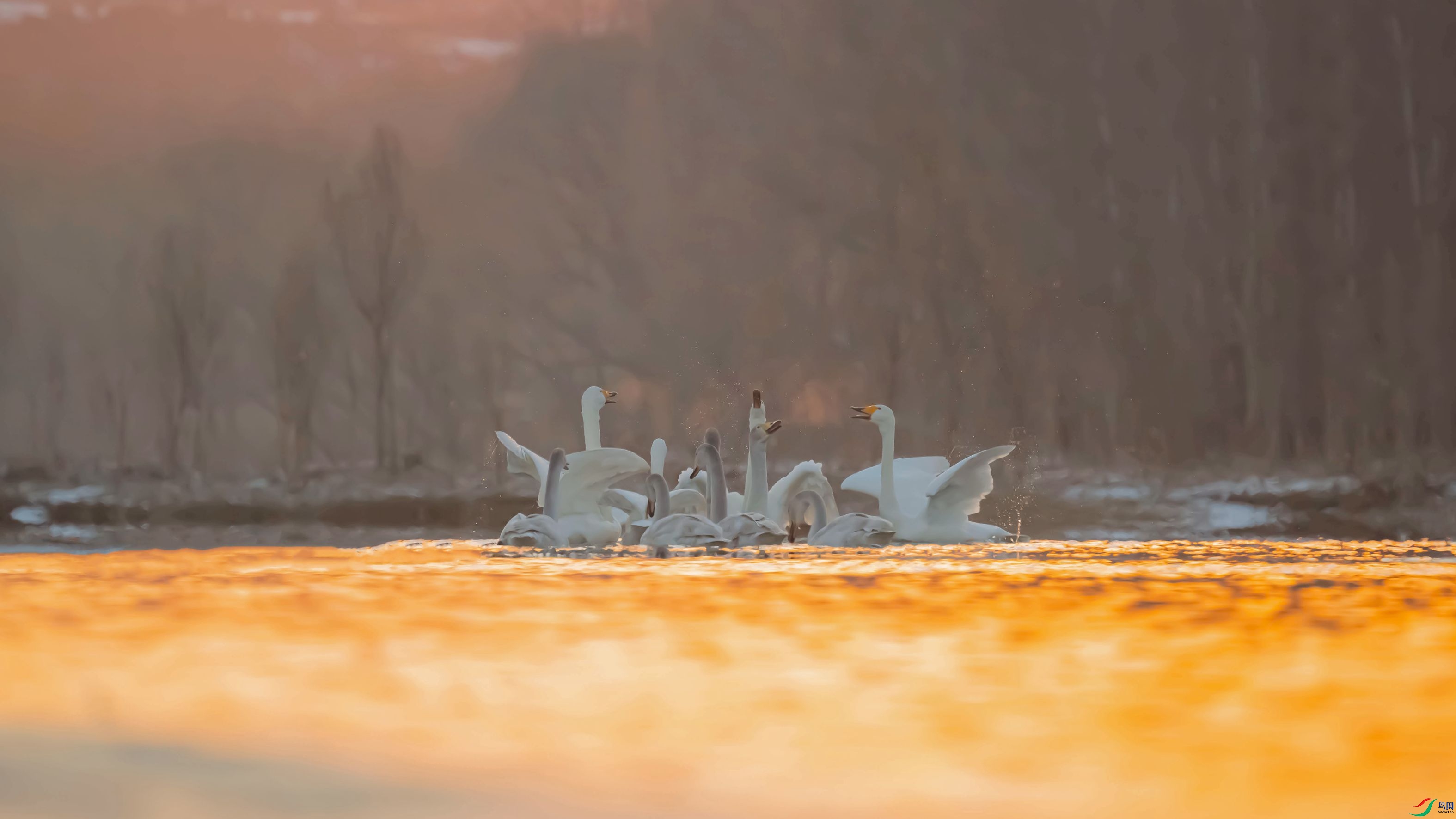 DSC_8393_����_����.jpg