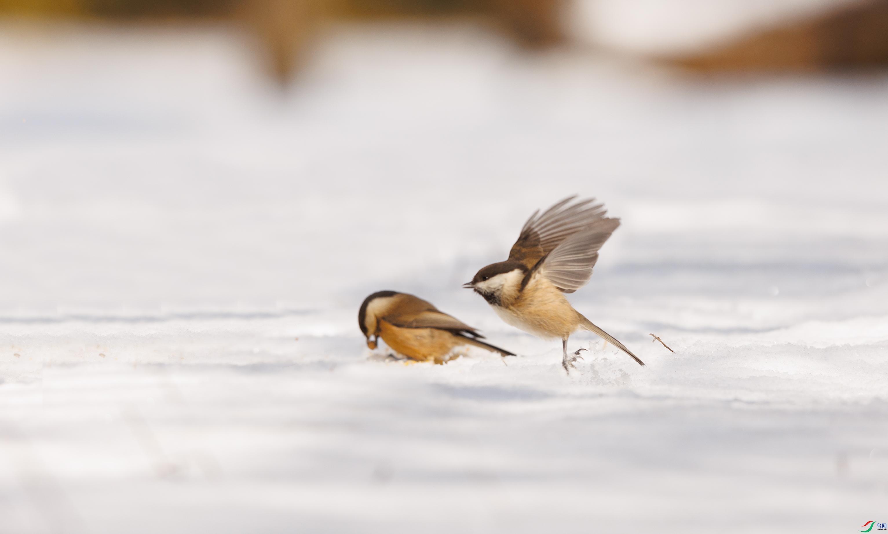 7X5A0032 ����44444.jpg