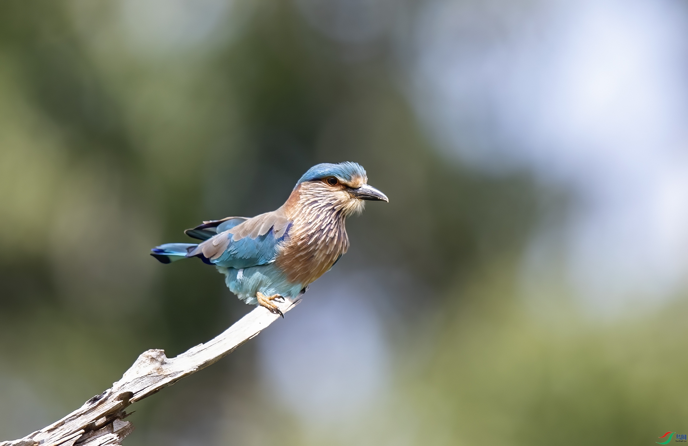 AC3I1763 ����.jpg