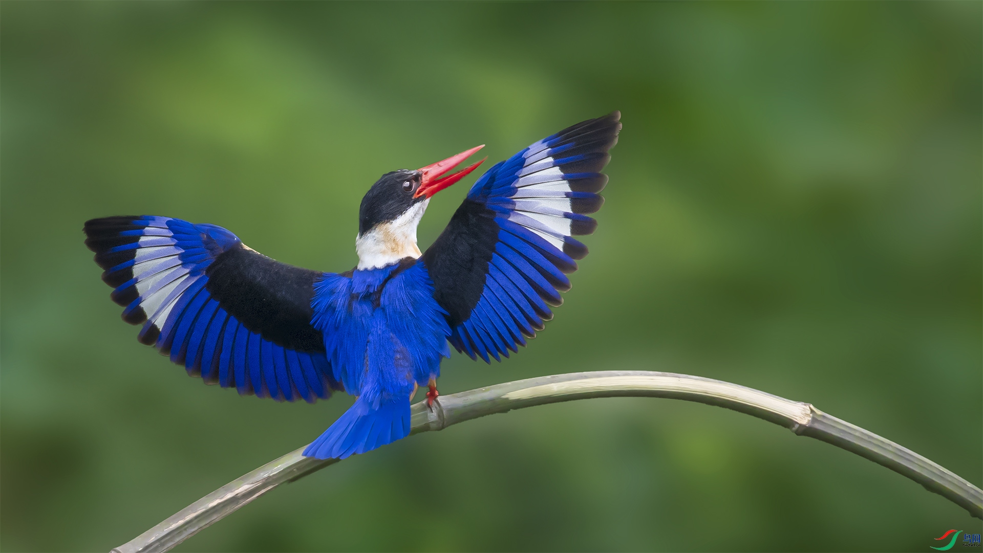 DSC_5677.jpg
