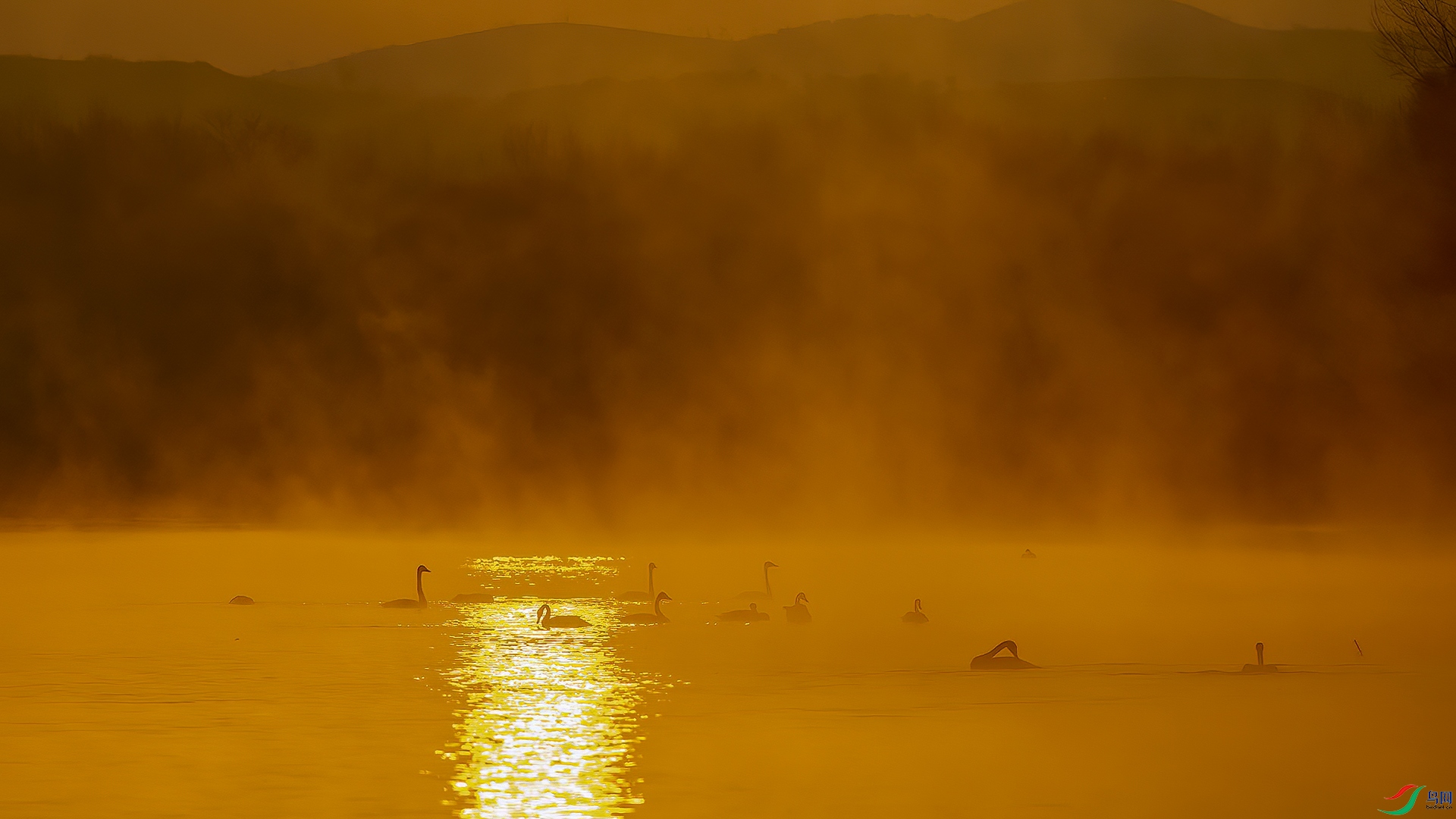 DSC_0m268.jpg