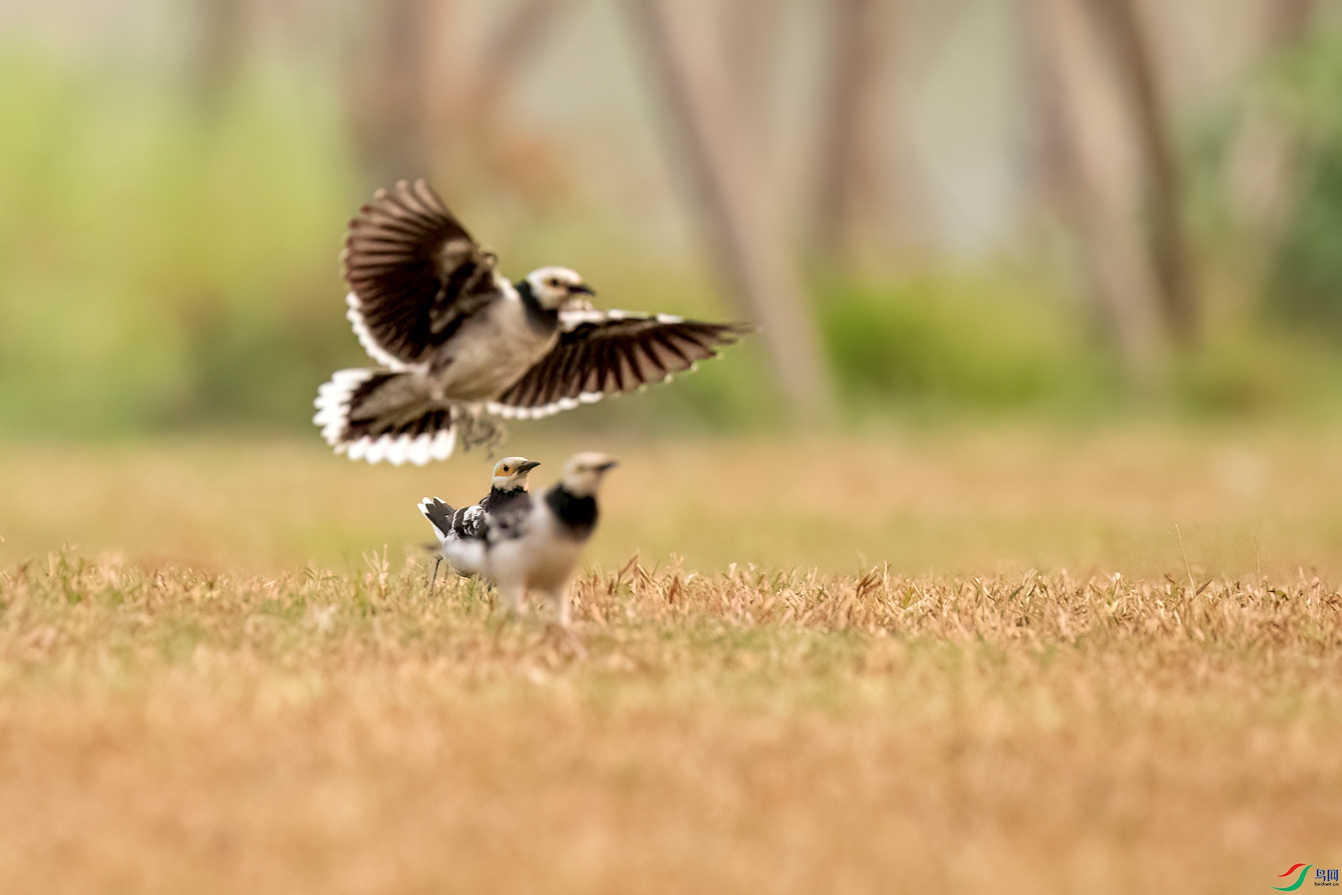 B86I2837 _����.jpg